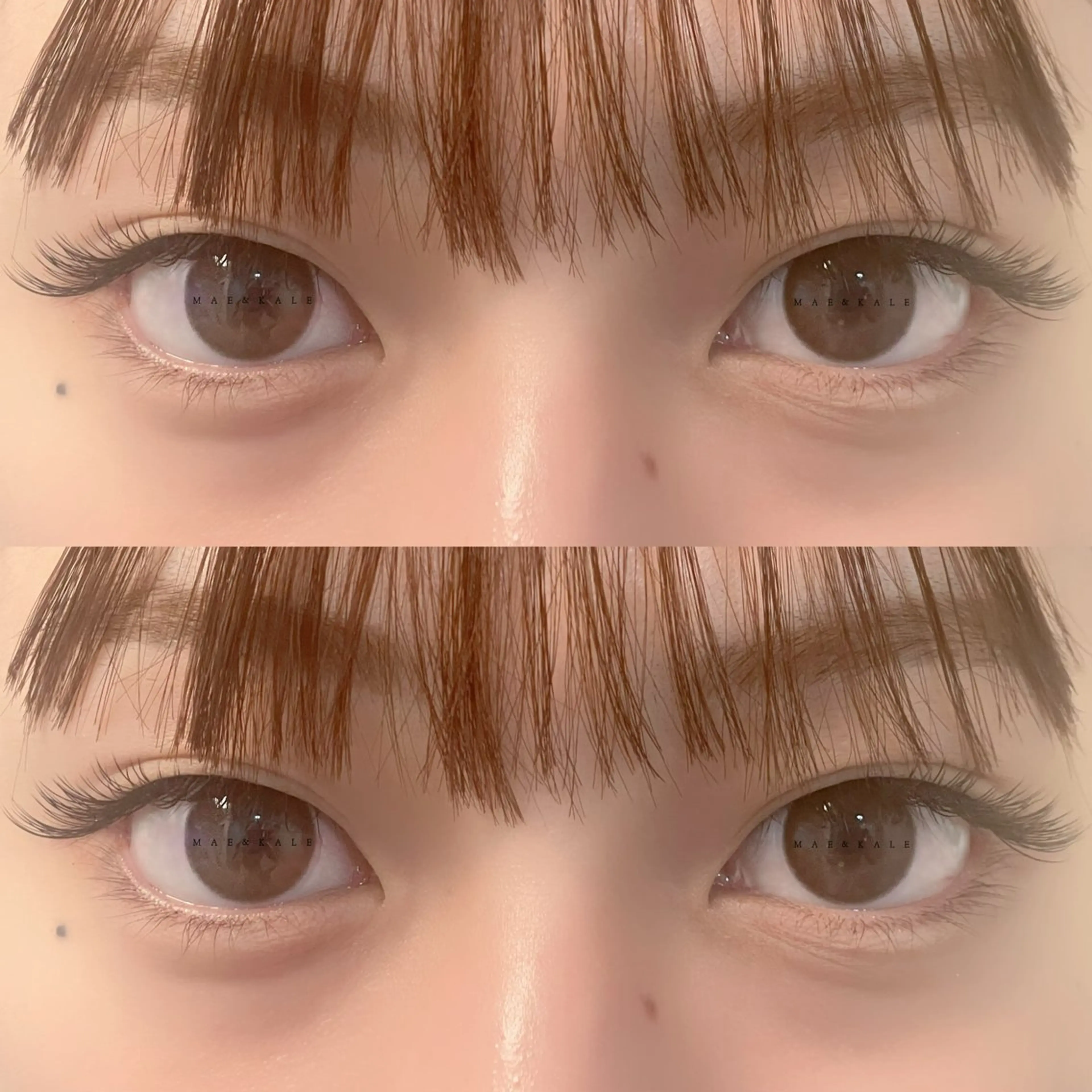 【新規オフ込み】🩷フラットラッシュ120本の写真