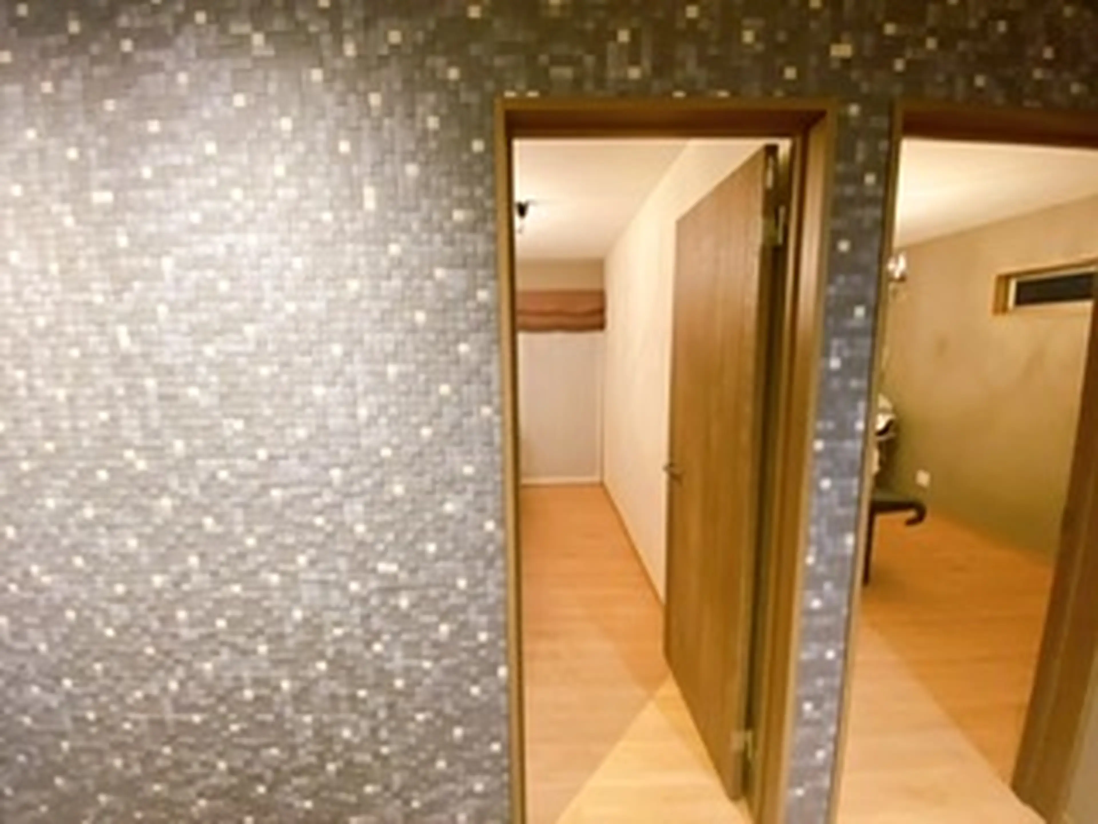 shandeelの内観・外観3