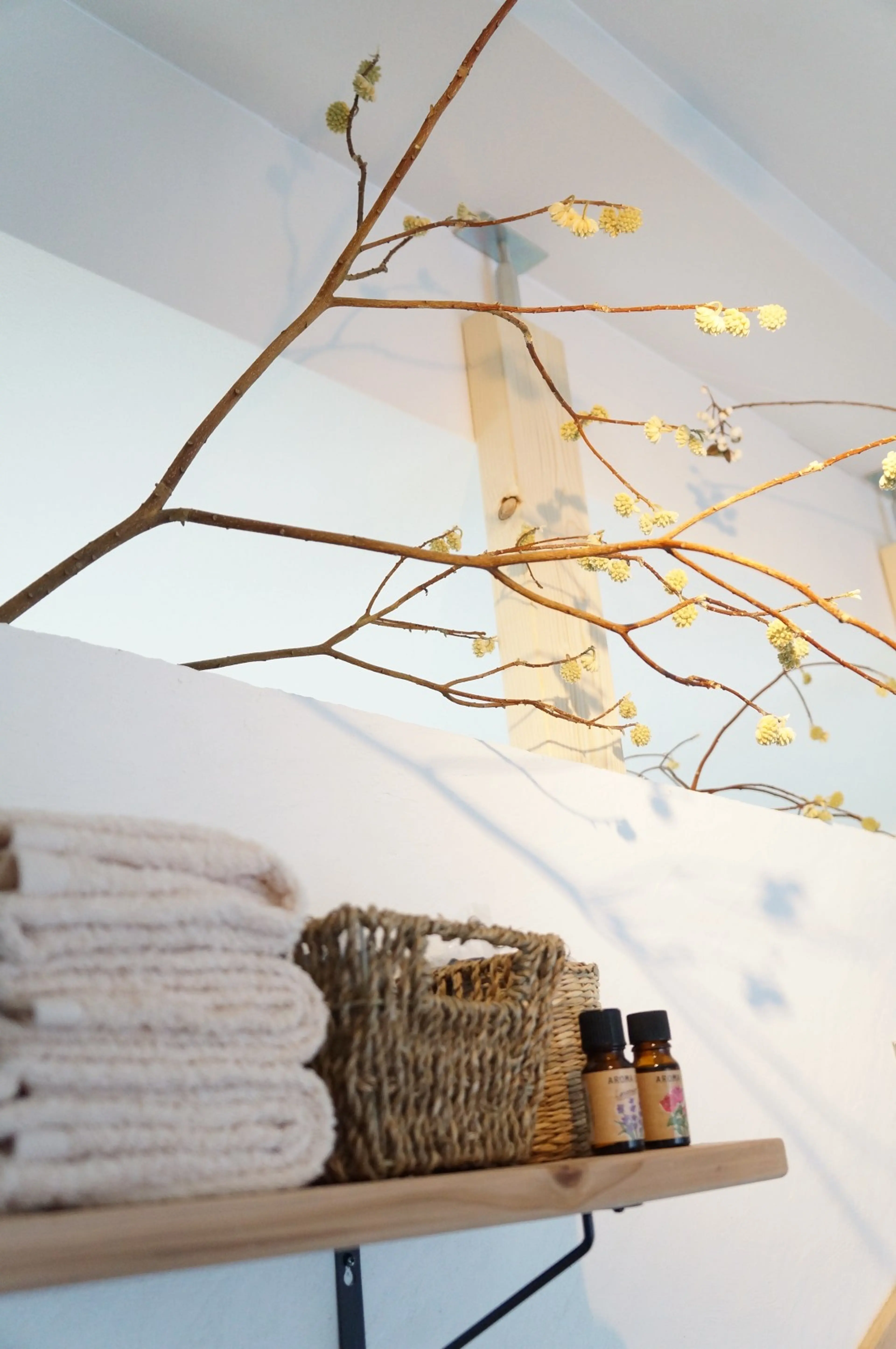 atelier colanの内観・外観2