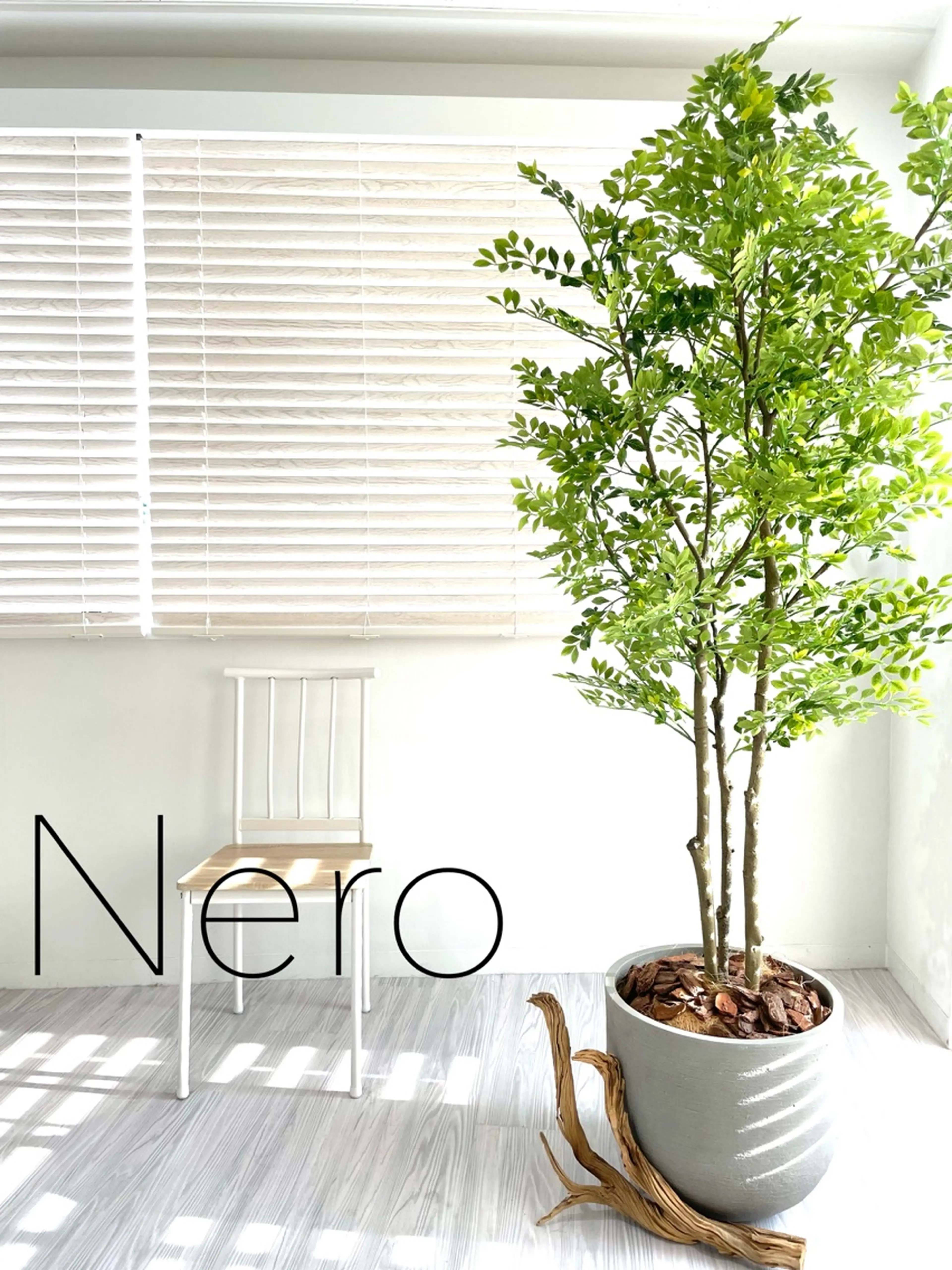 Nero(ネロ)の内観・外観2