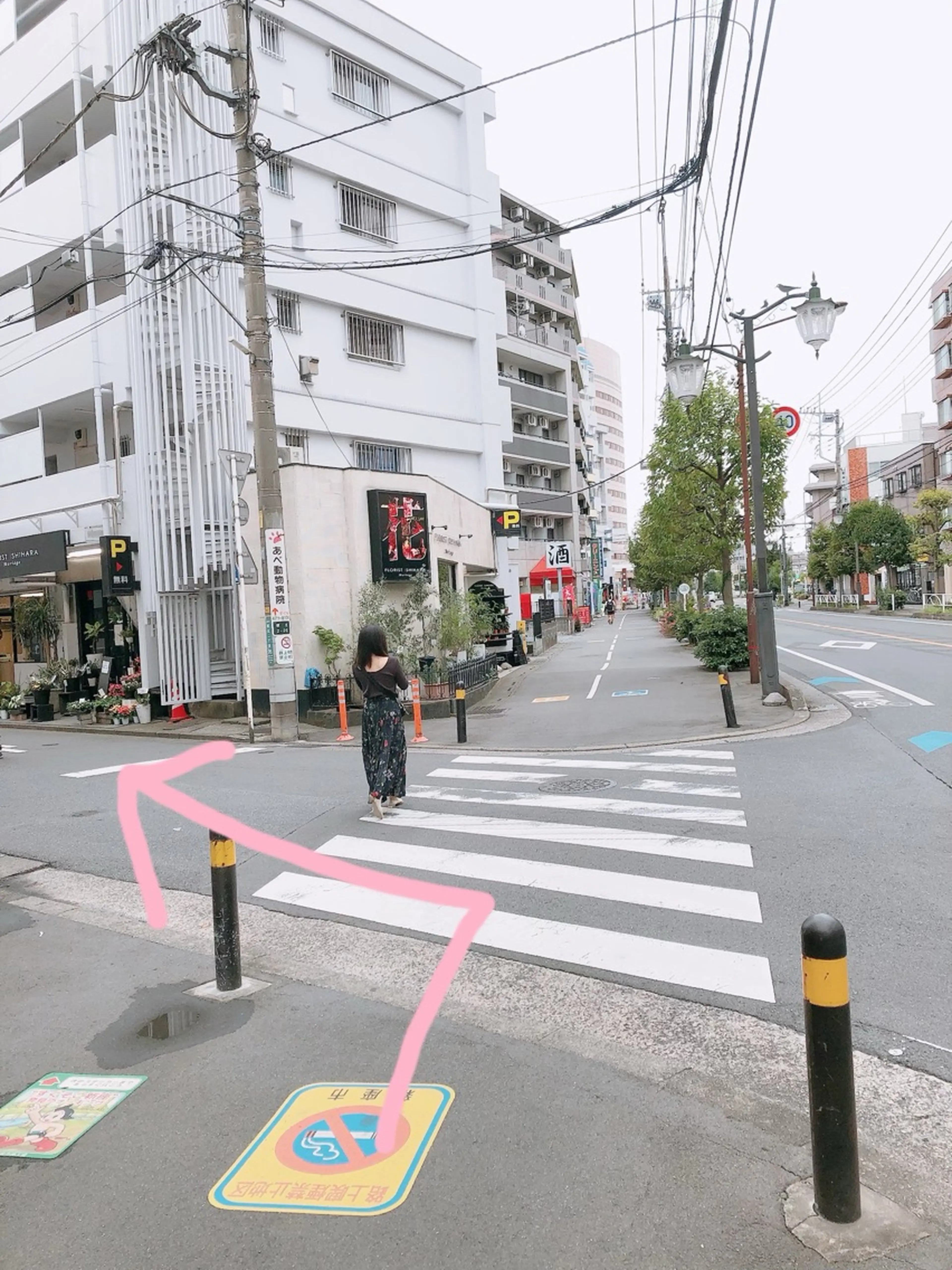 Fluffy（フラフィ）の内観・外観1