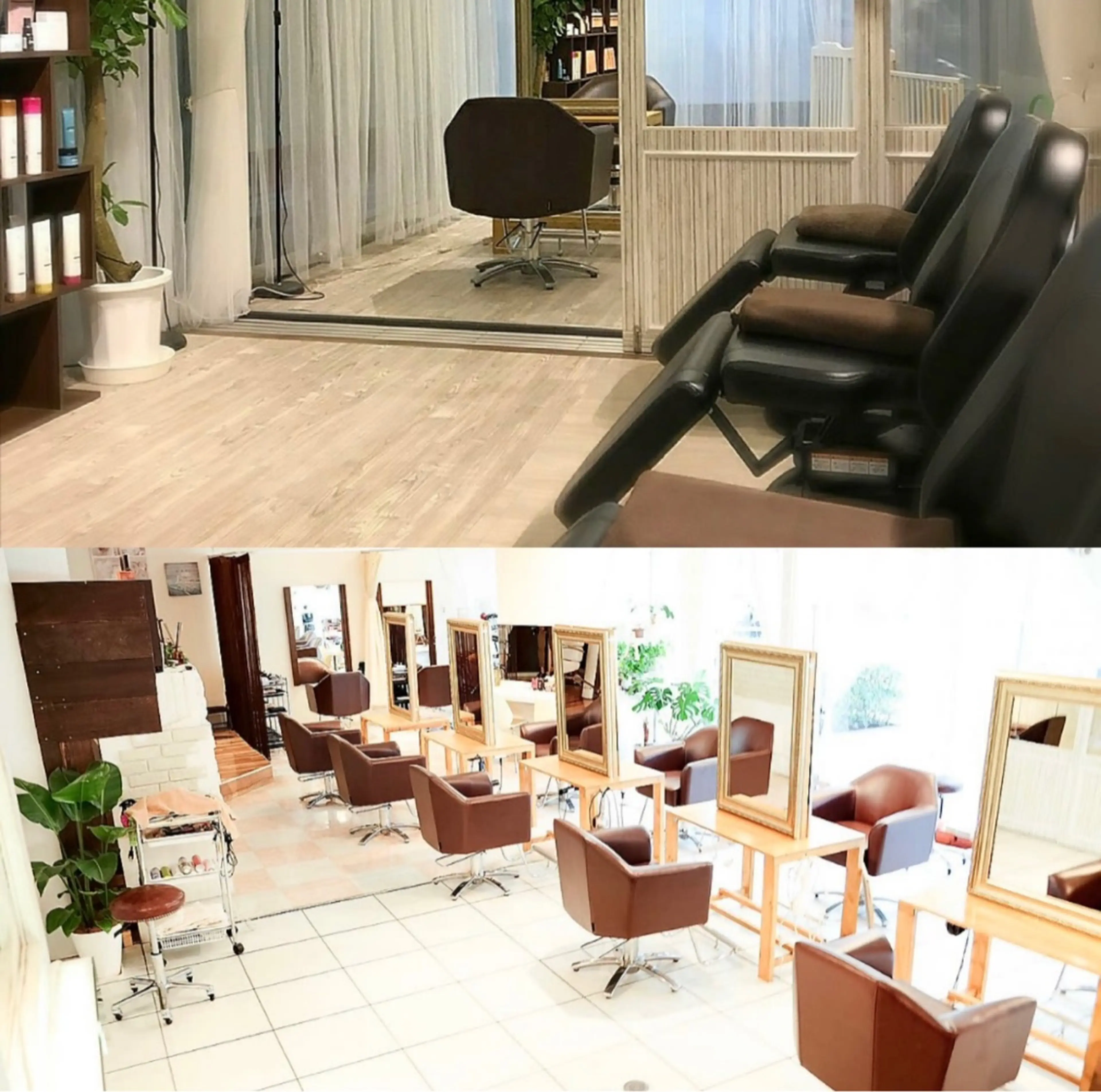 WE BE PARSLEYの内観・外観3