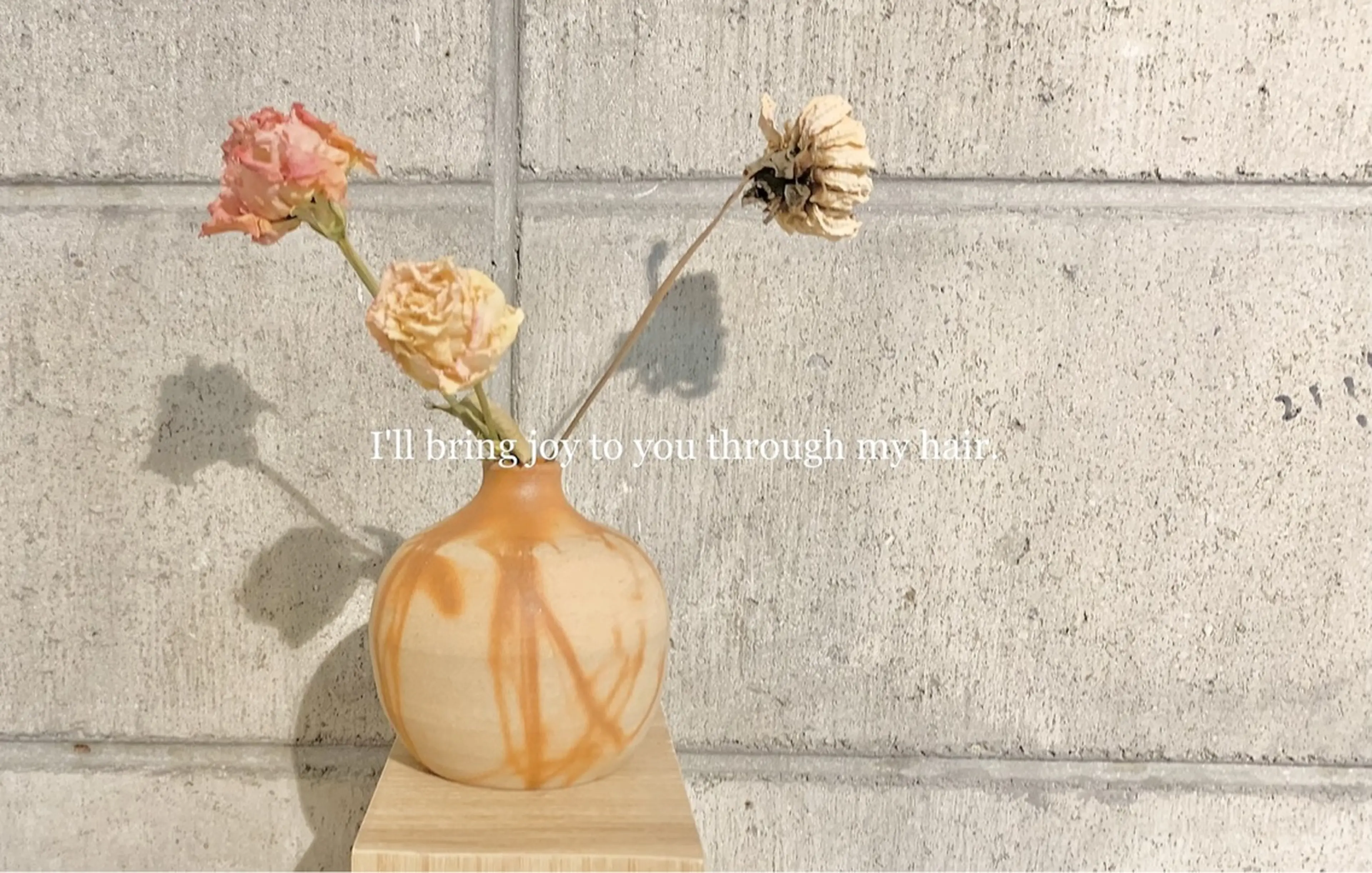 . ...hanataba... .の内観・外観2