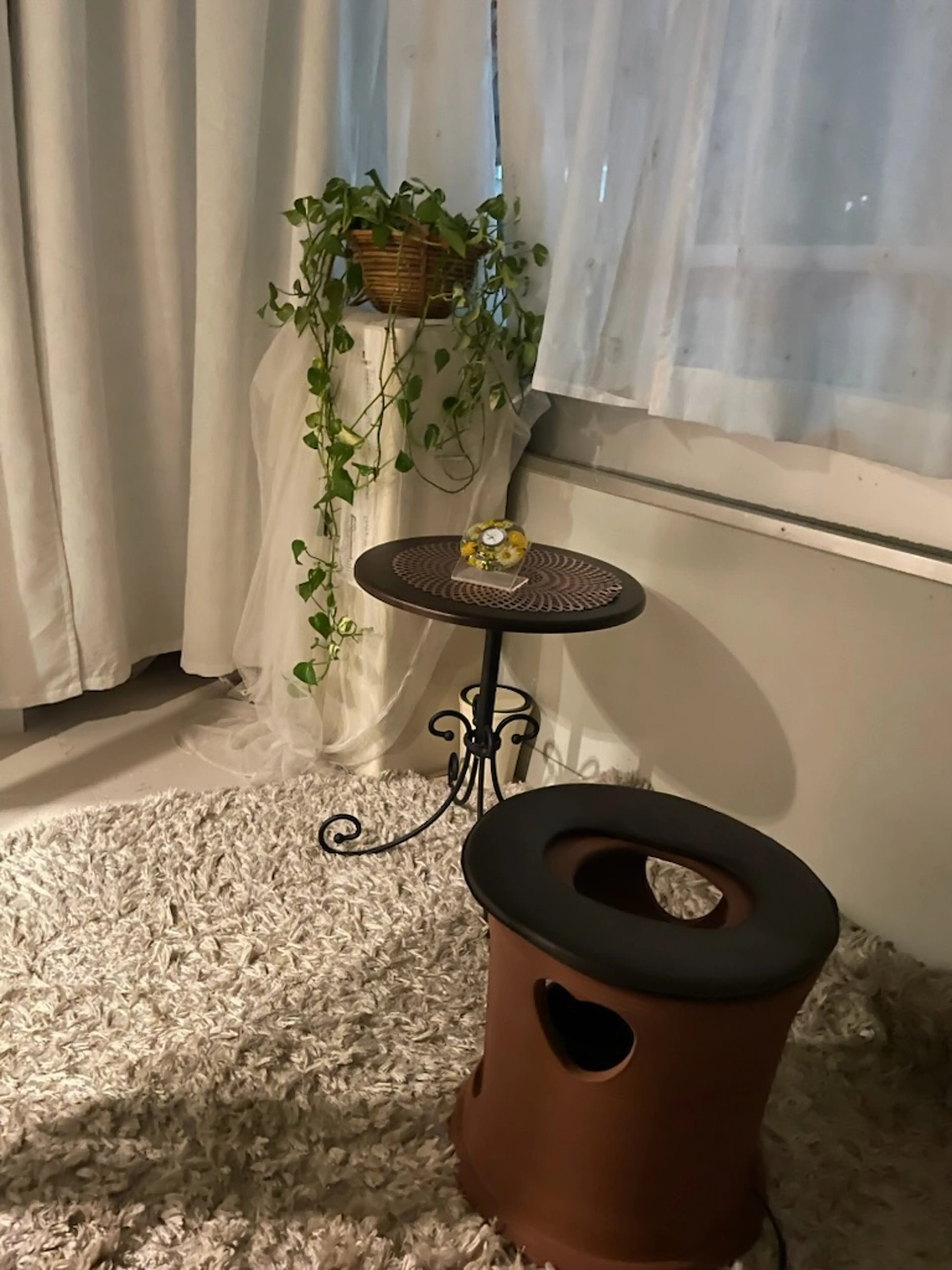 オリエンタルガーデンの内観・外観2