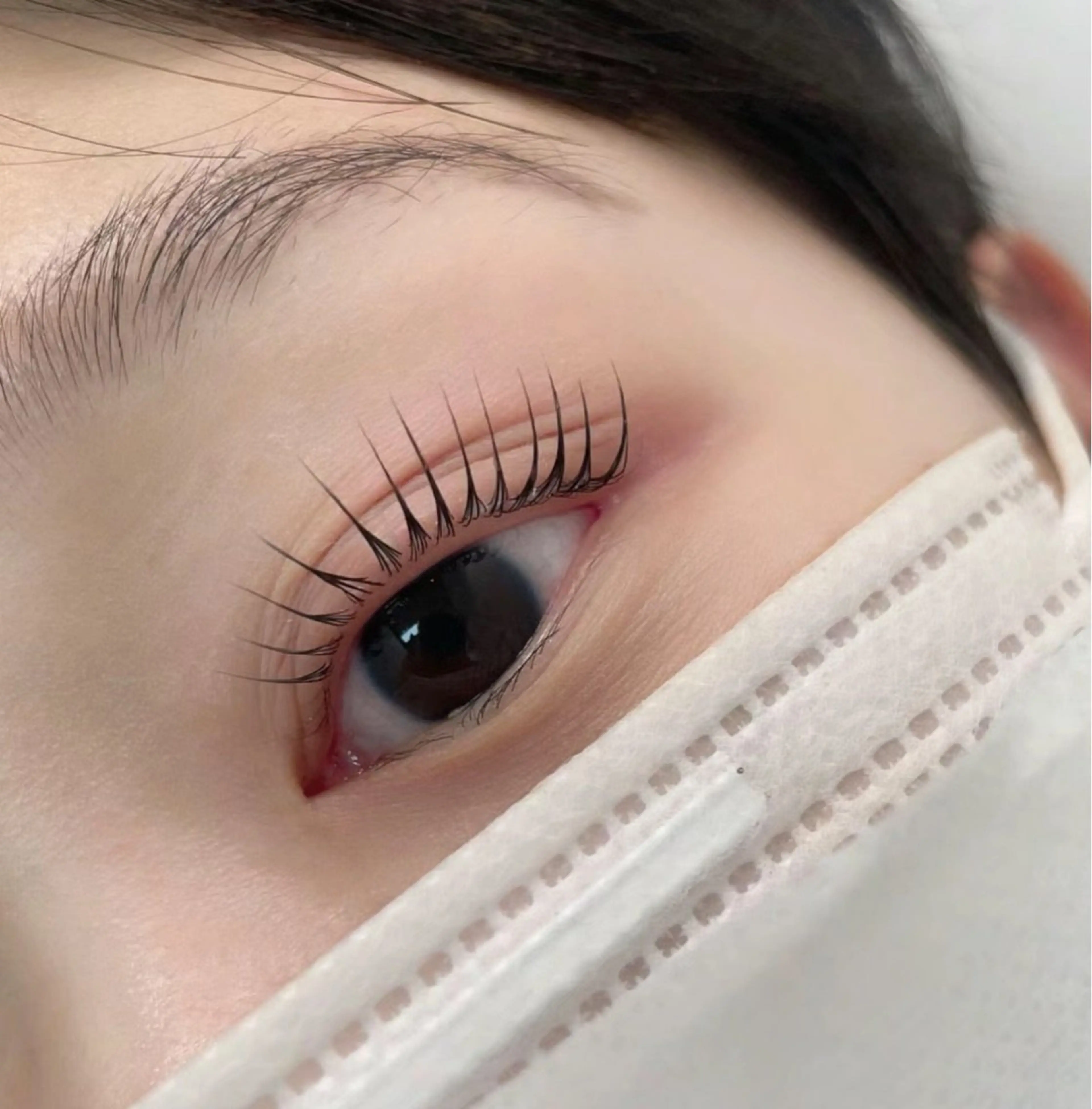 L・ヒヒアイラッシュの内観・外観3