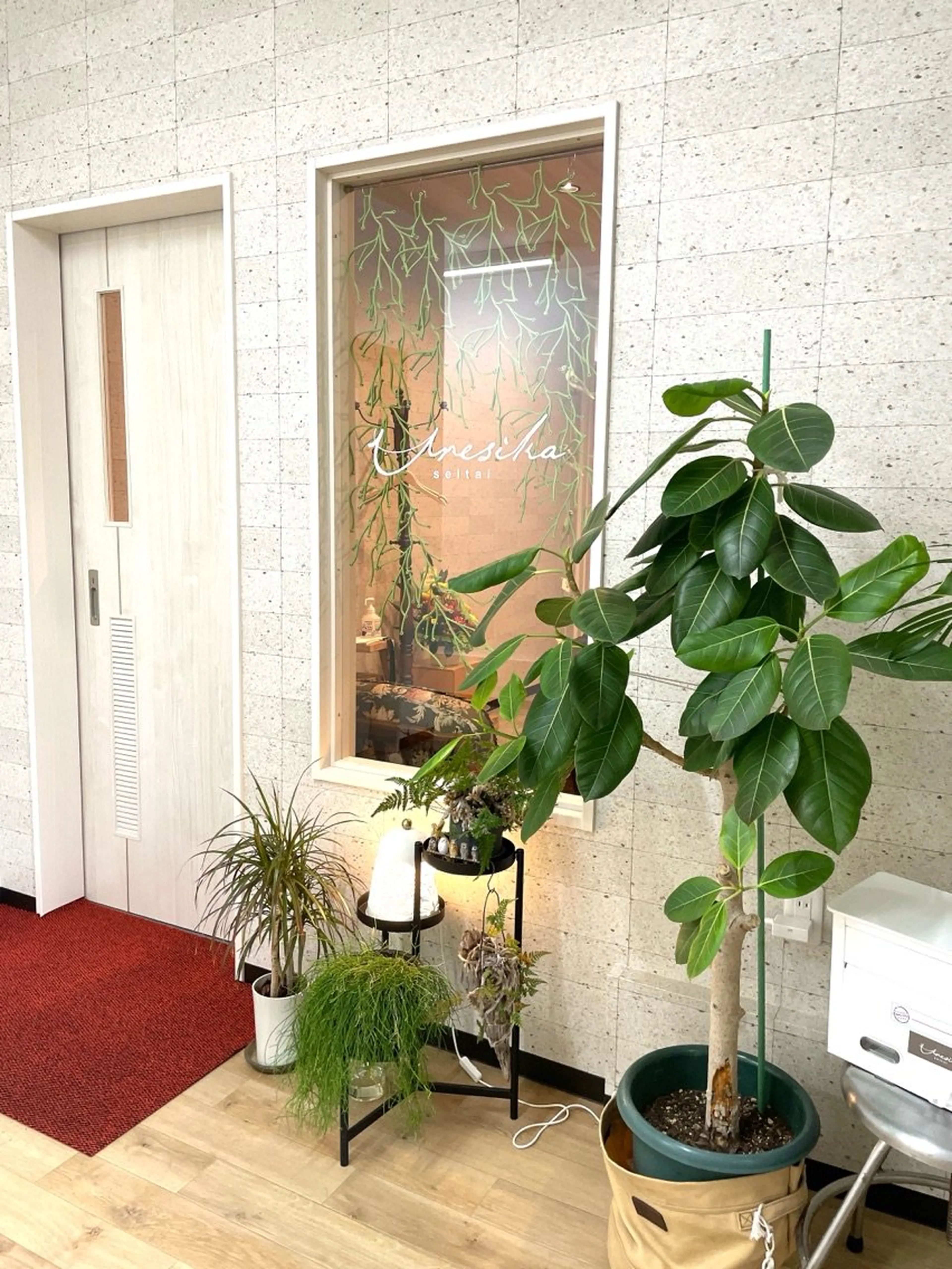 uresika seitaiの内観・外観1