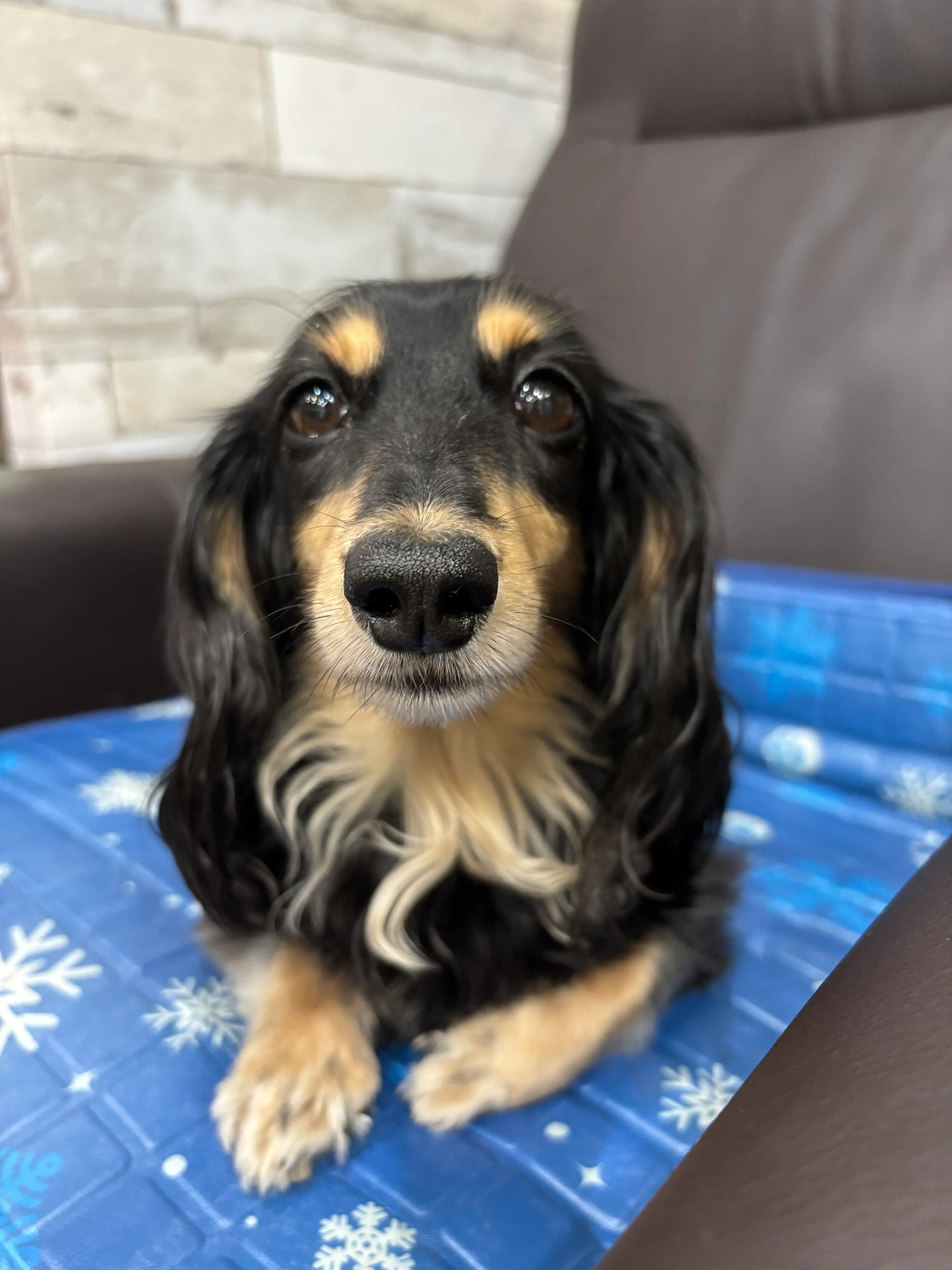 PEPPUの内観・外観3