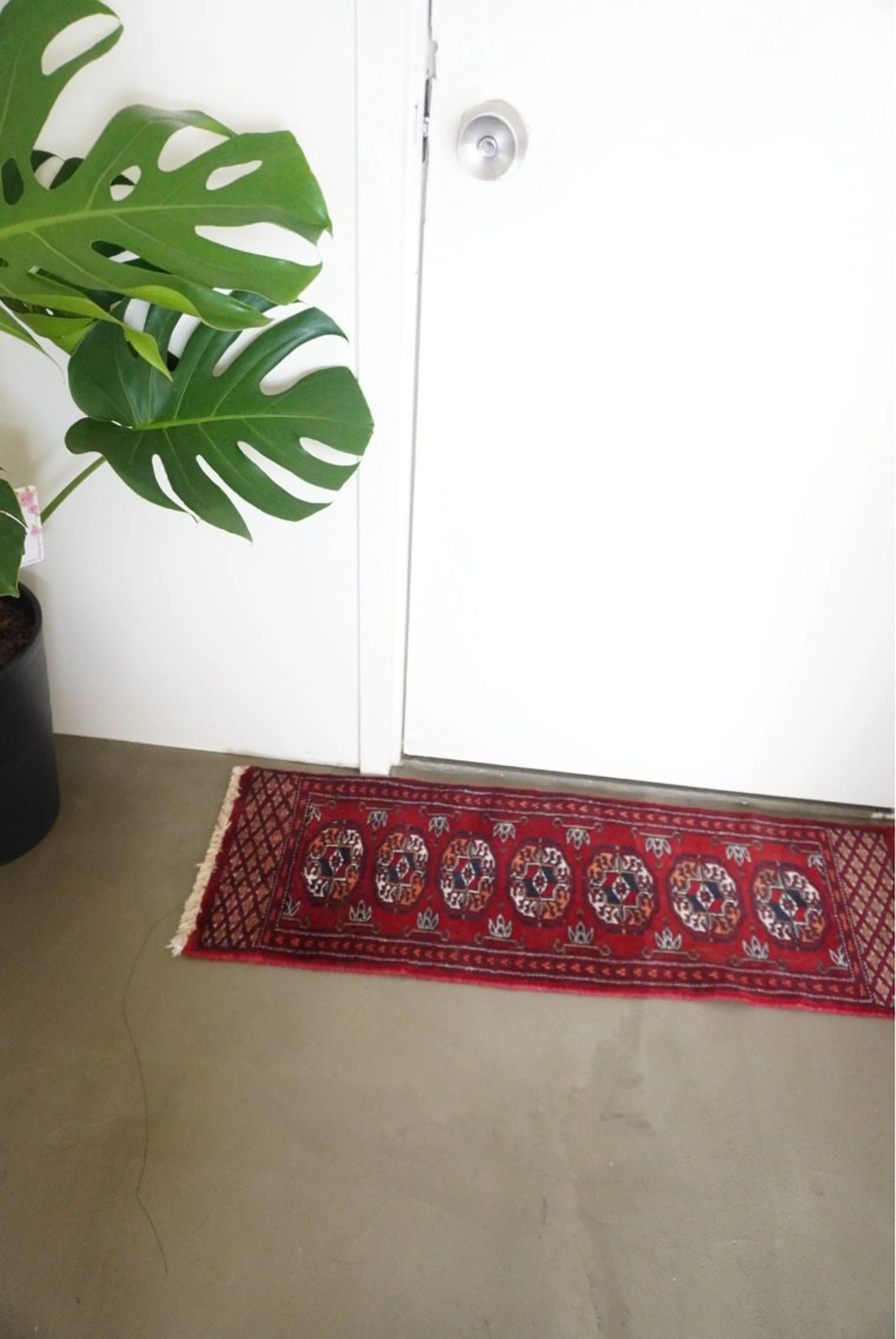 トッテ..の内観・外観2