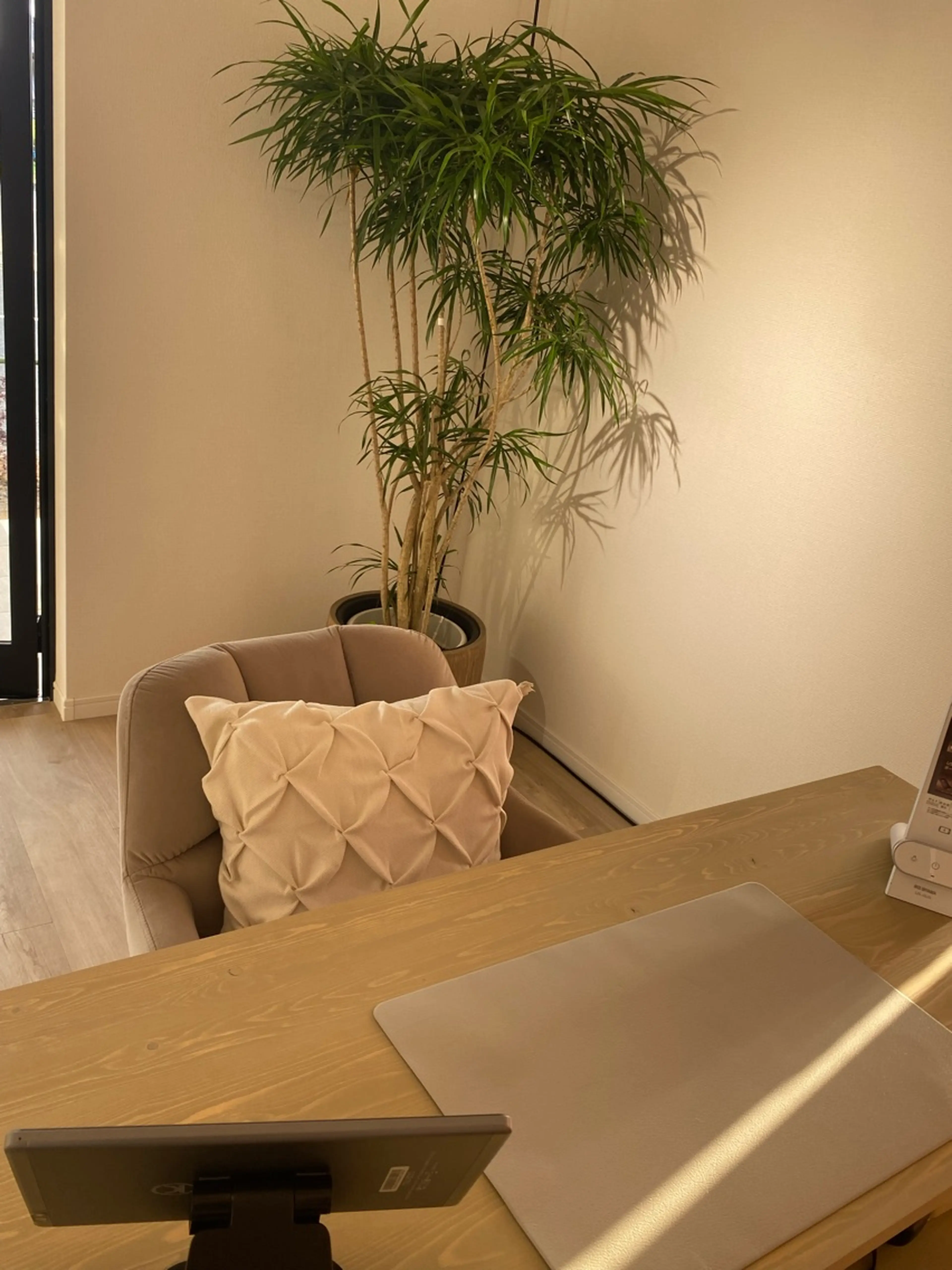 uruoi  nailsaronの内観・外観3