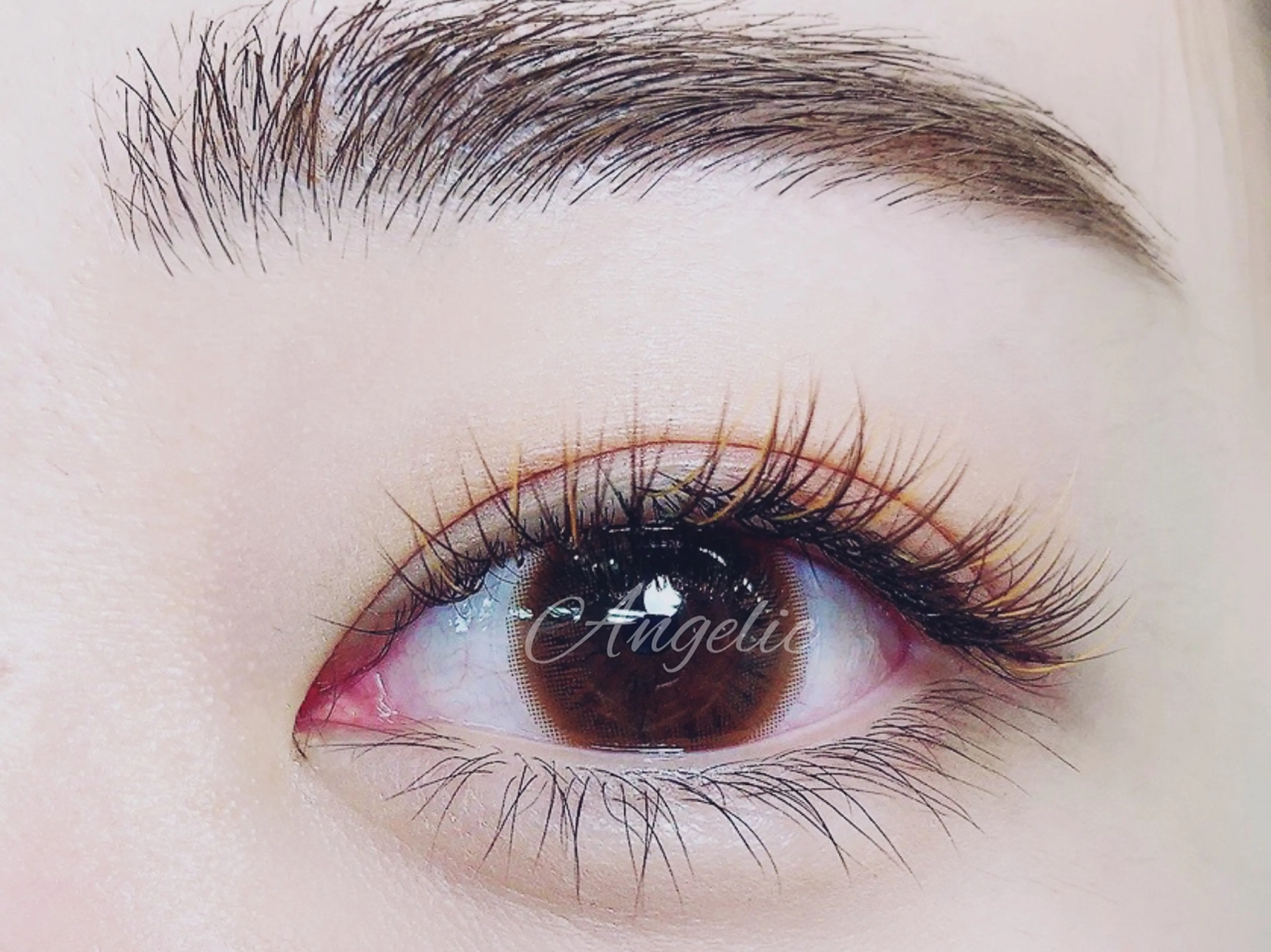 Angelic 錦糸町テルミナ店の内観・外観3