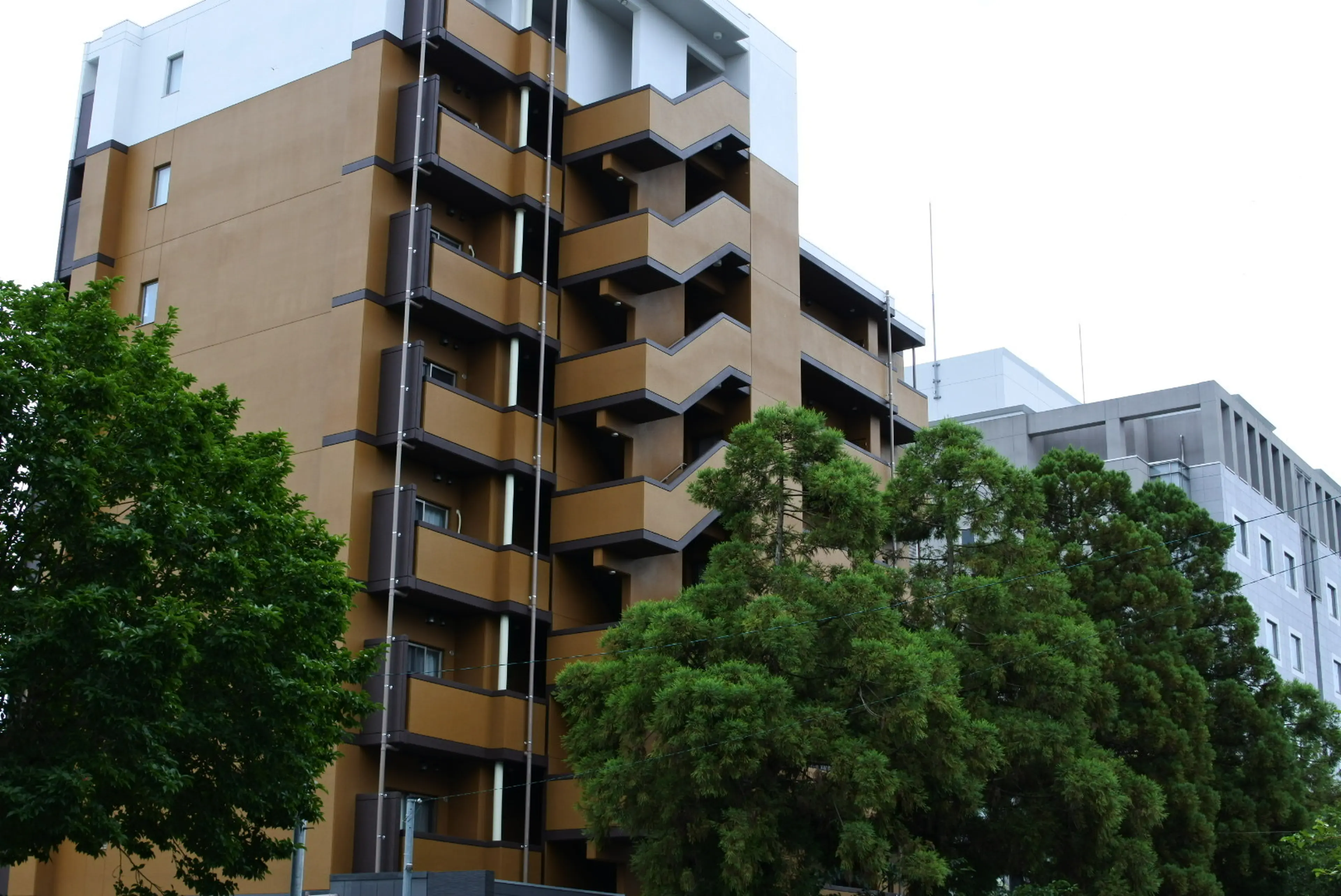 C'est joli セジョリの内観・外観3