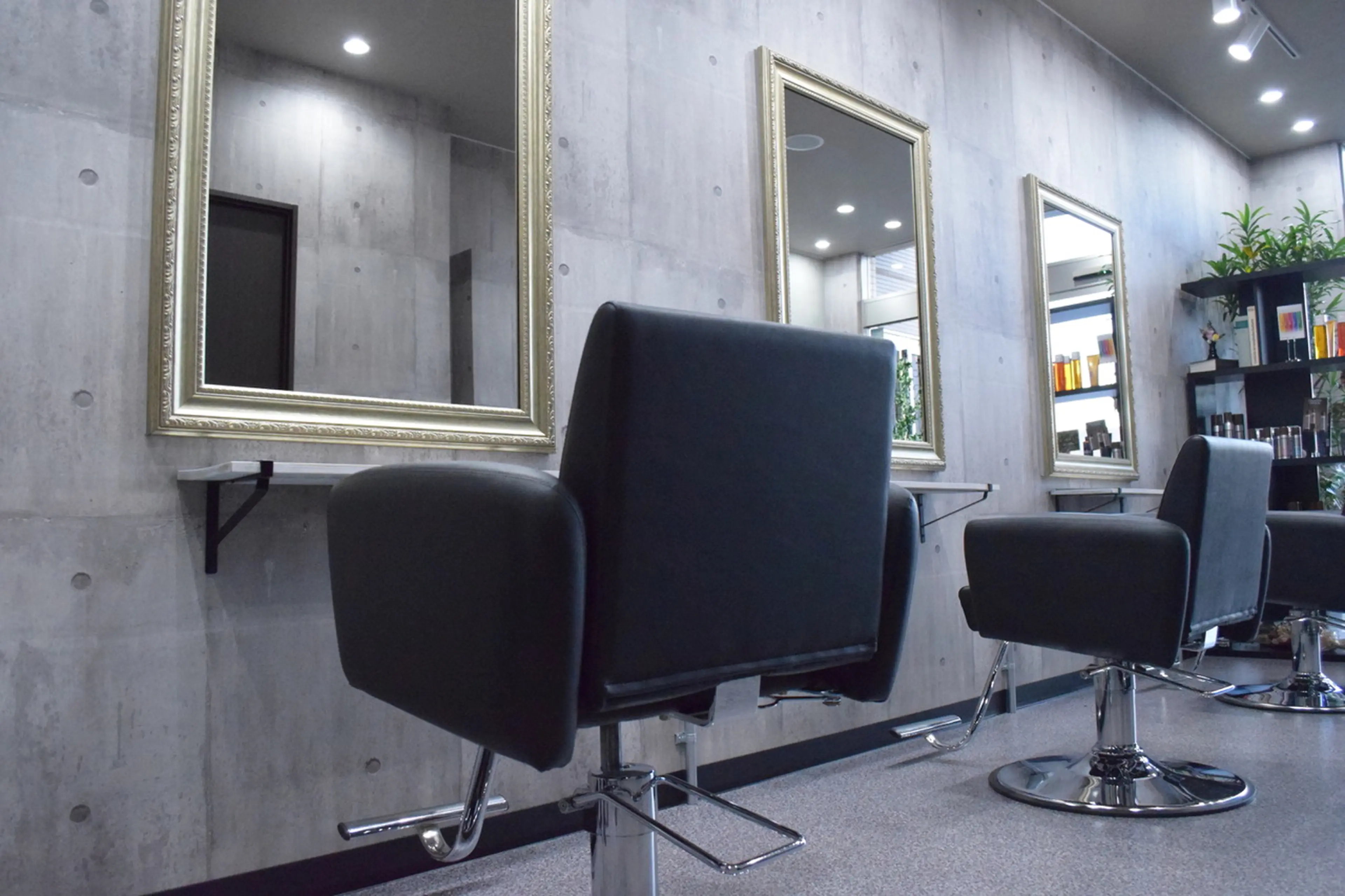 サロンデレヴィの内観・外観2