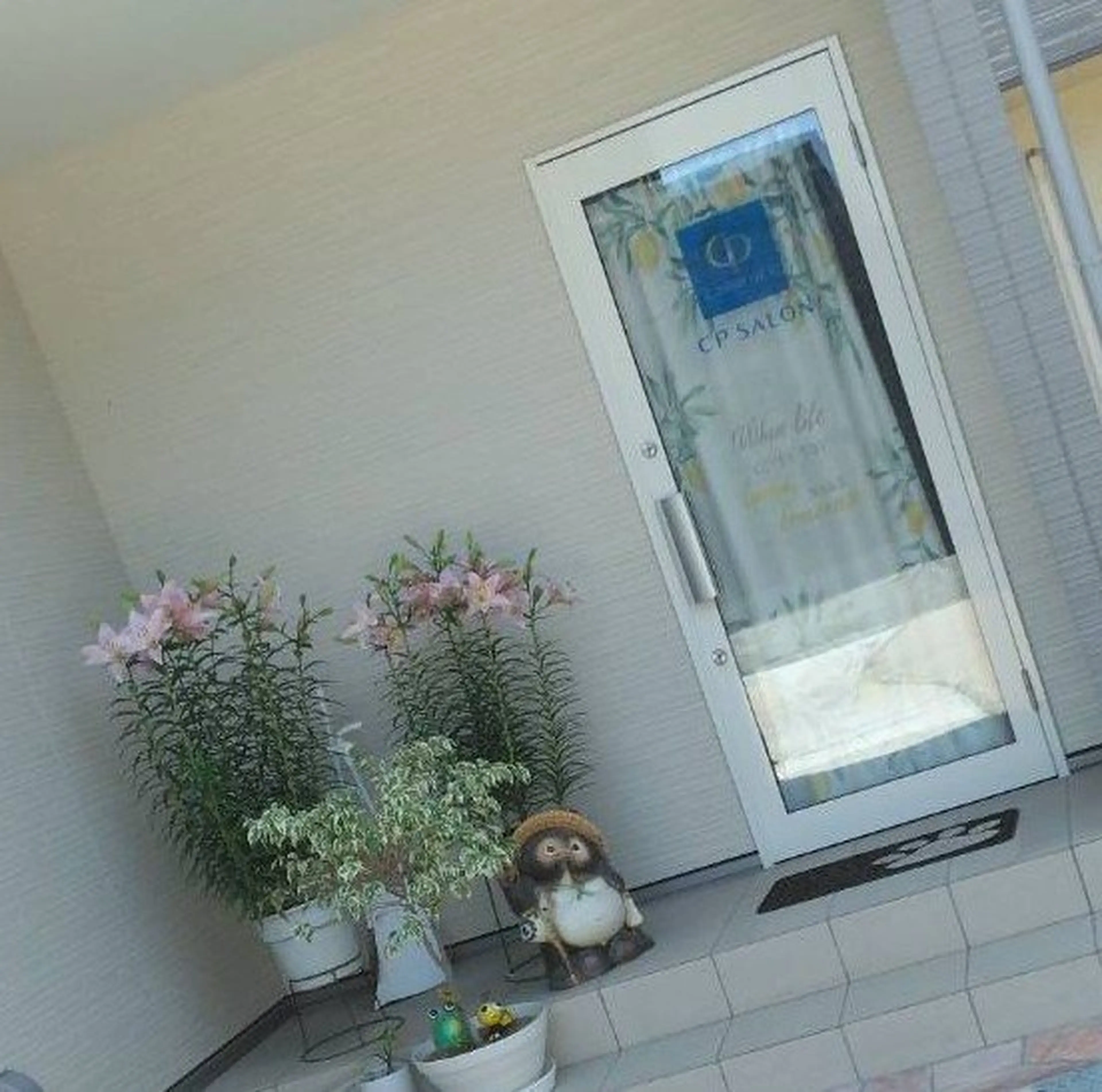 ゼロスサロンの内観・外観1