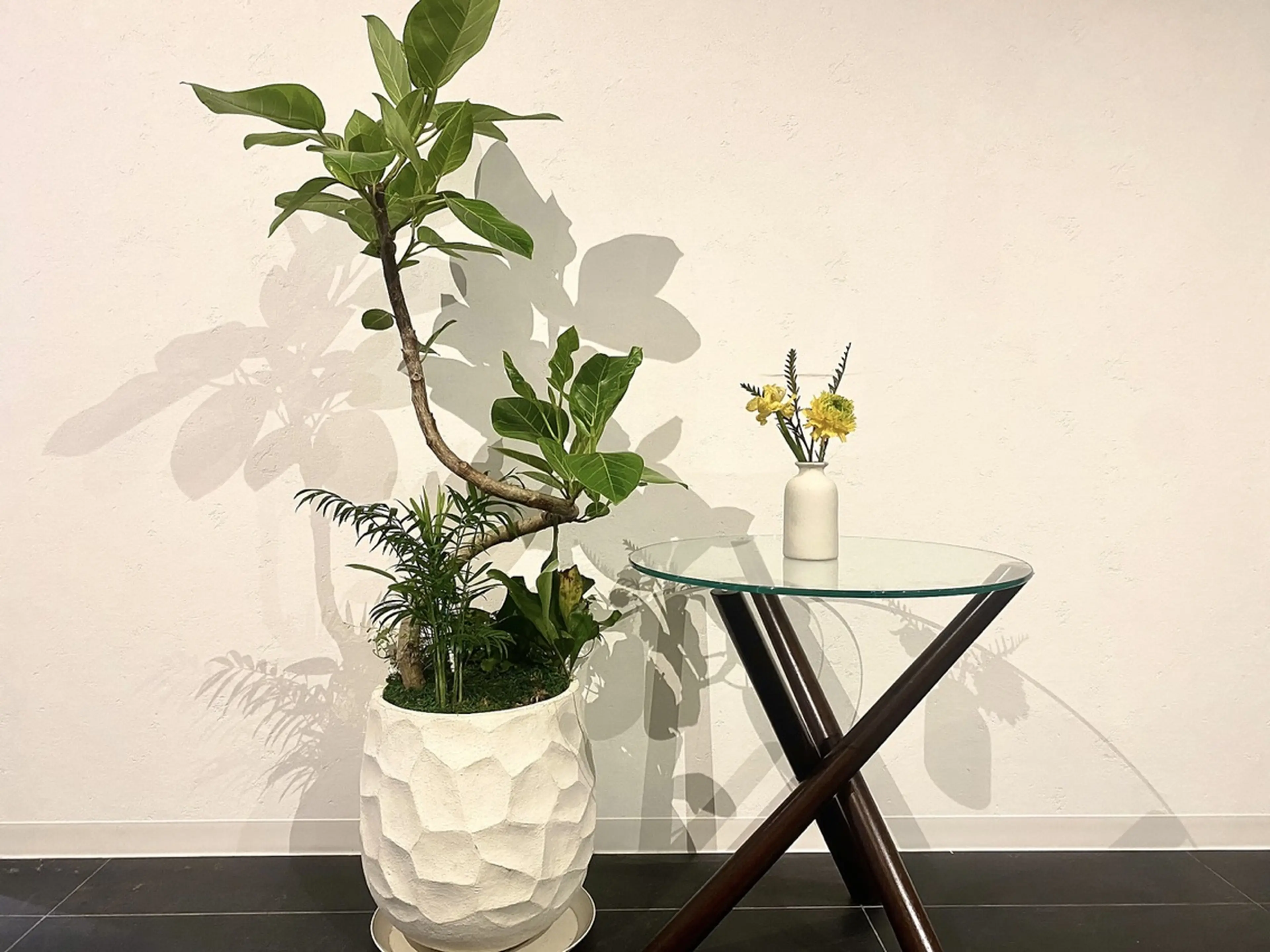 CAF.HAIRの内観・外観2