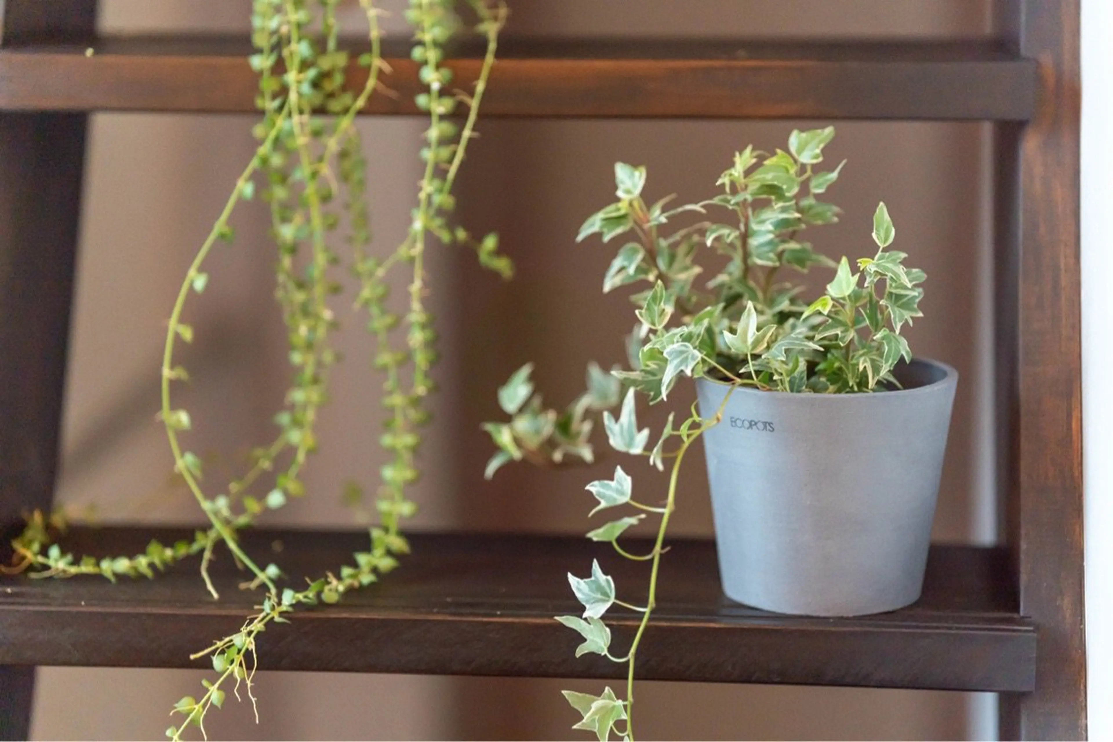 イヤーリラクゼーション33chillの内観・外観3