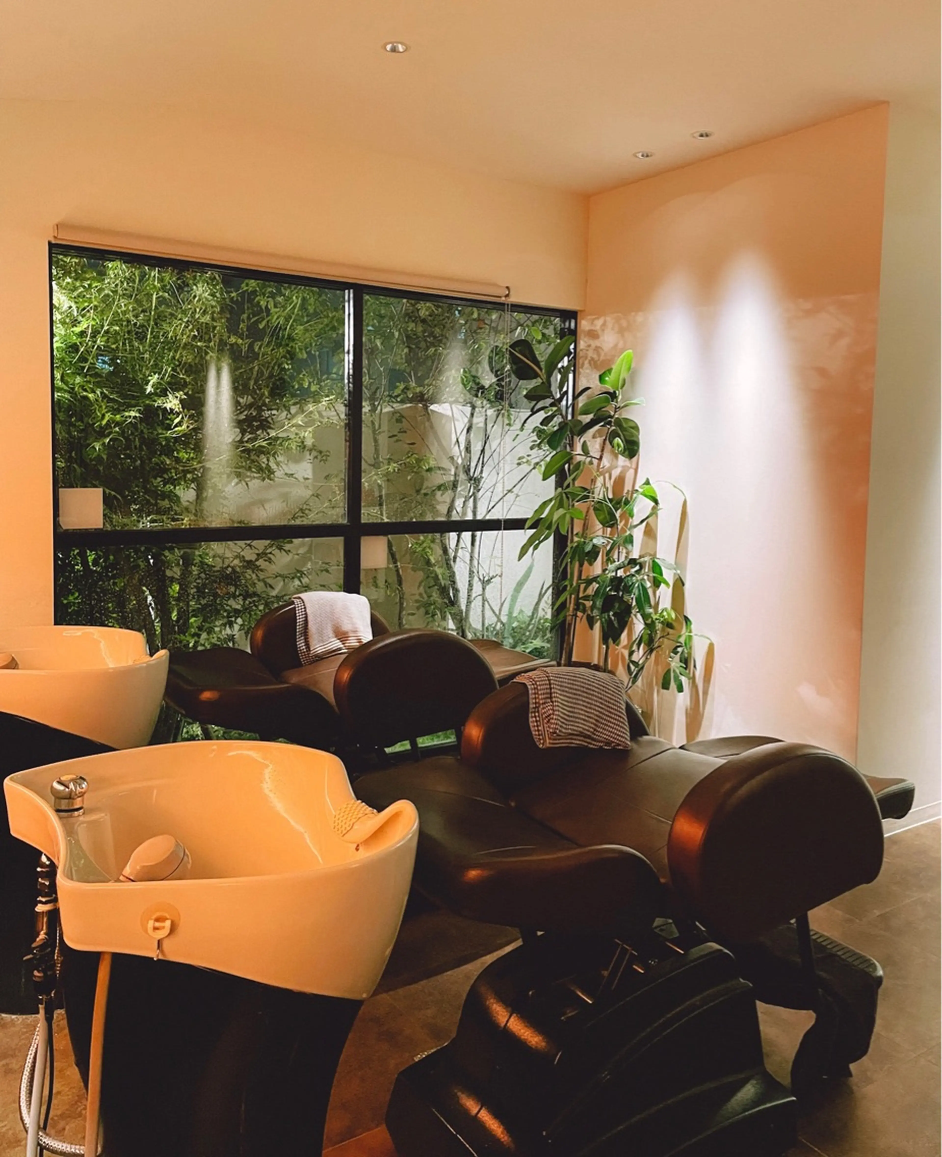 Truthの内観・外観3