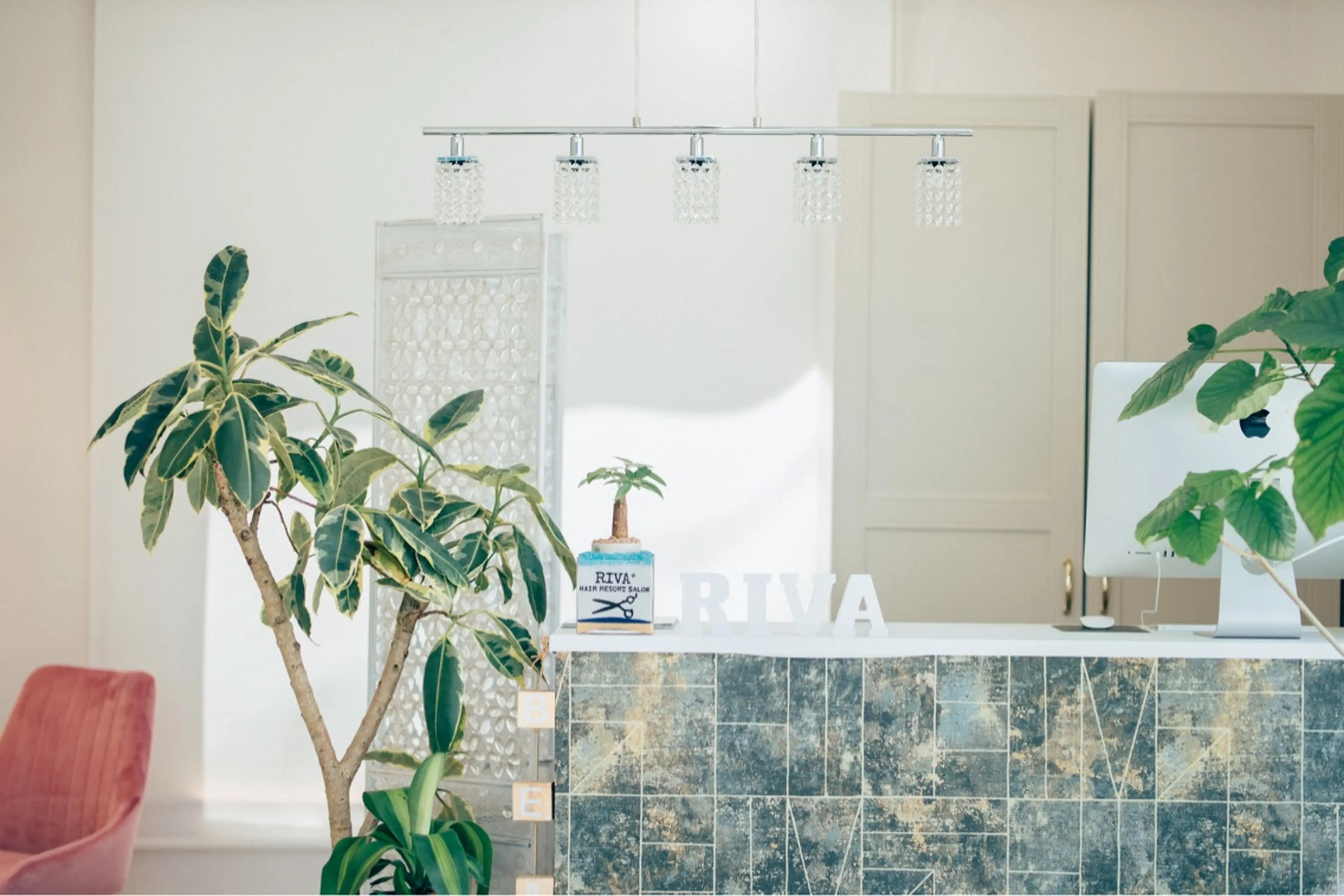 RIVA+の内観・外観3