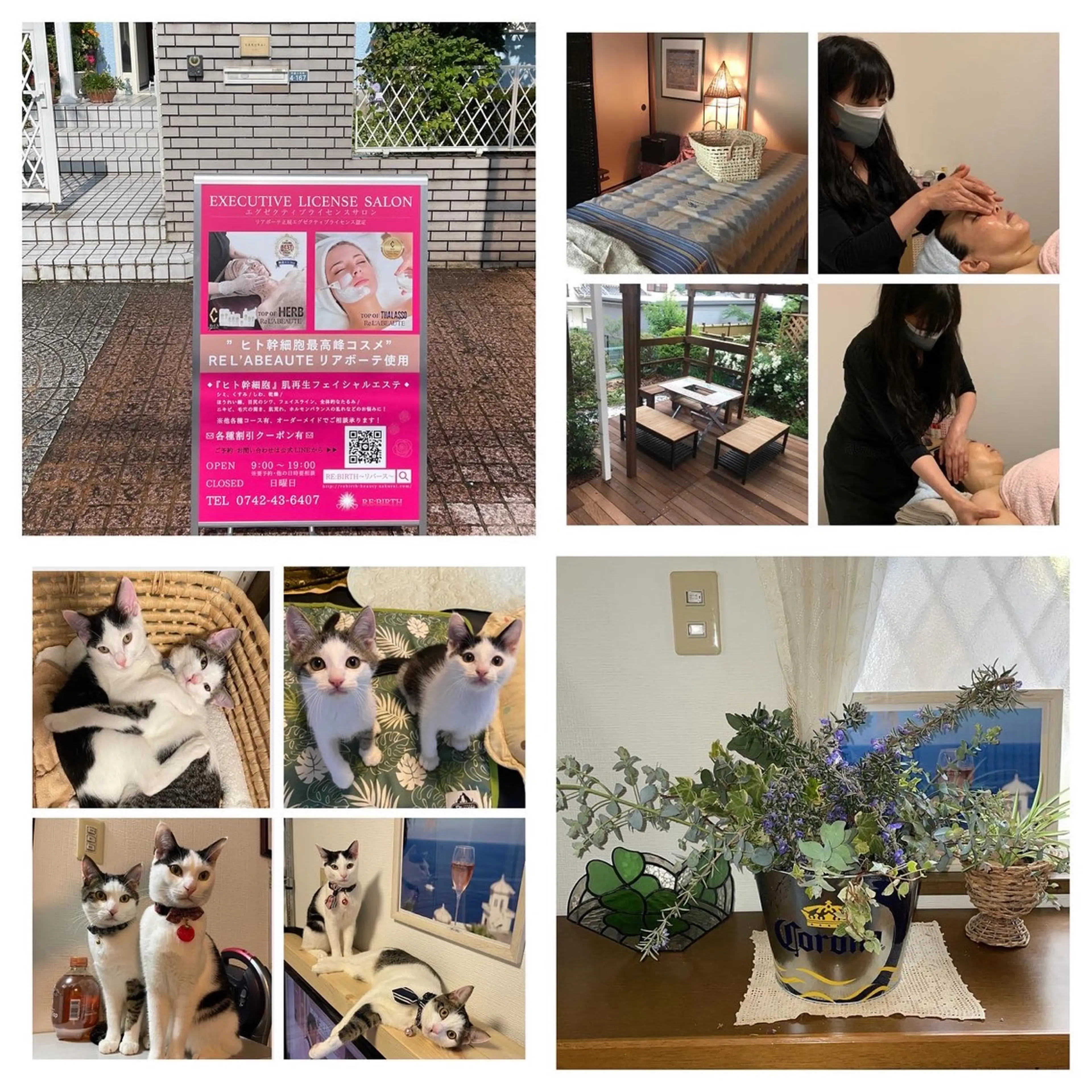 RE:BIRTH〜リバース〜の内観・外観1