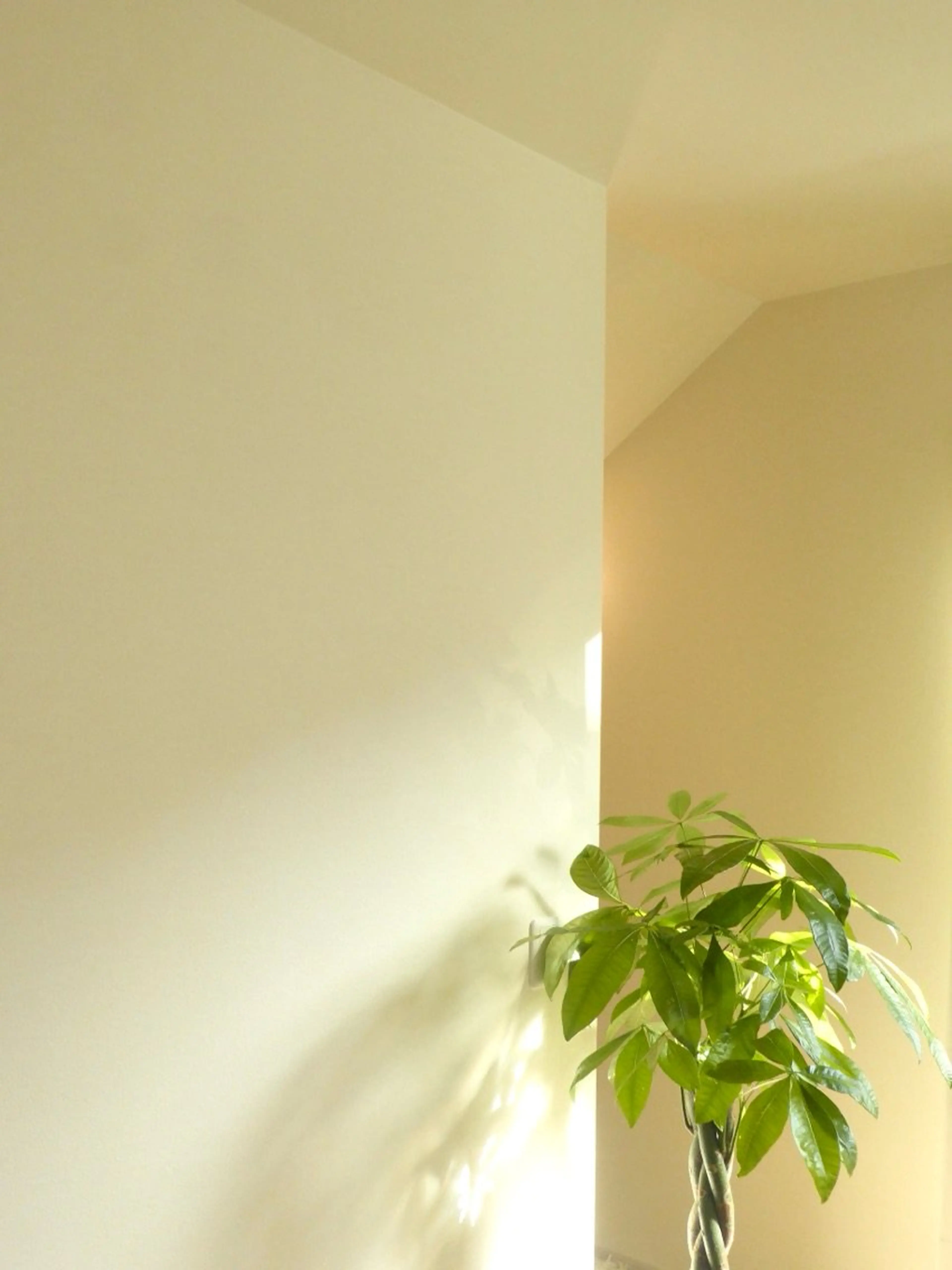 retreat salon SORAの内観・外観1