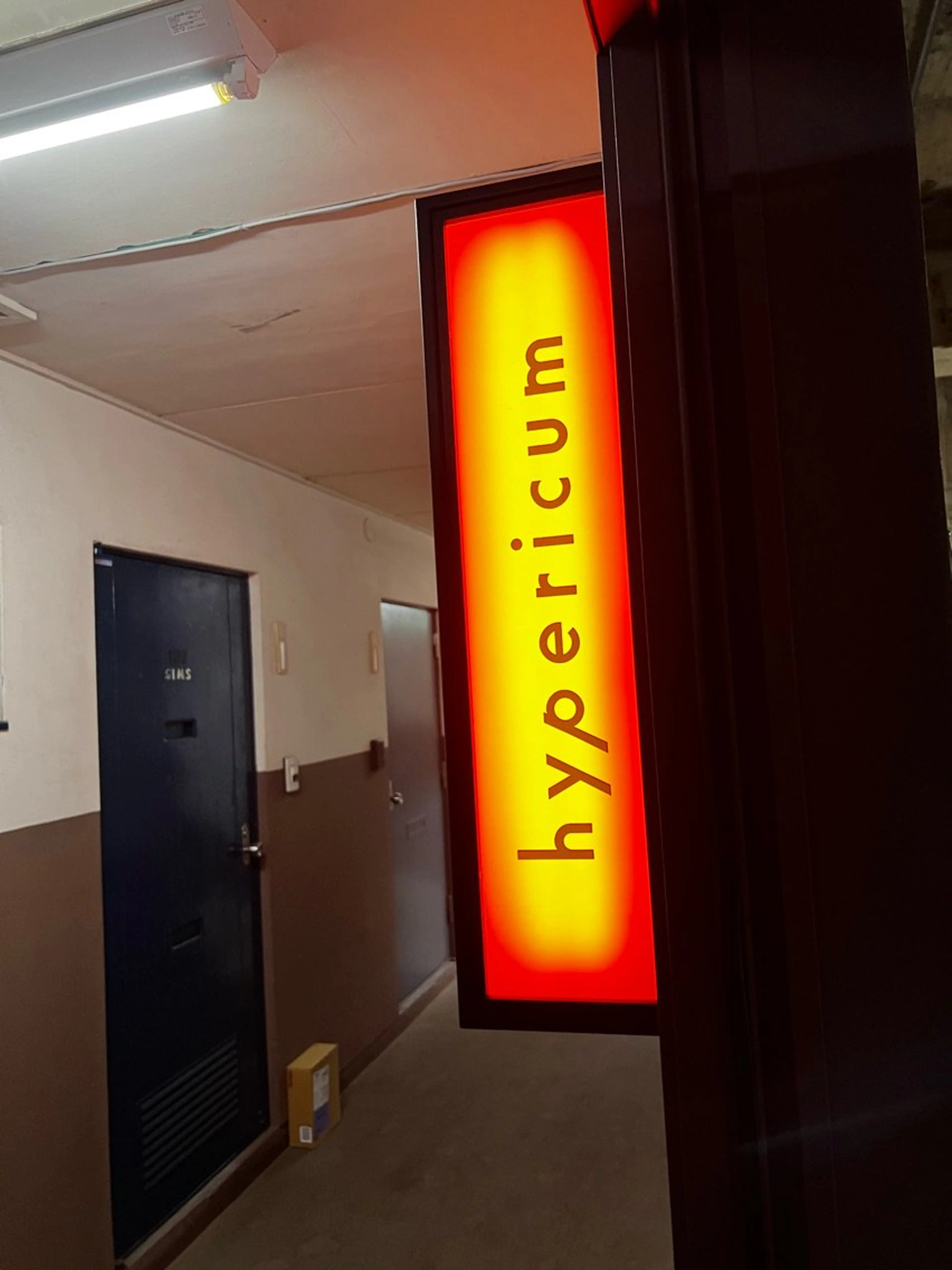 hypericumの内観・外観1