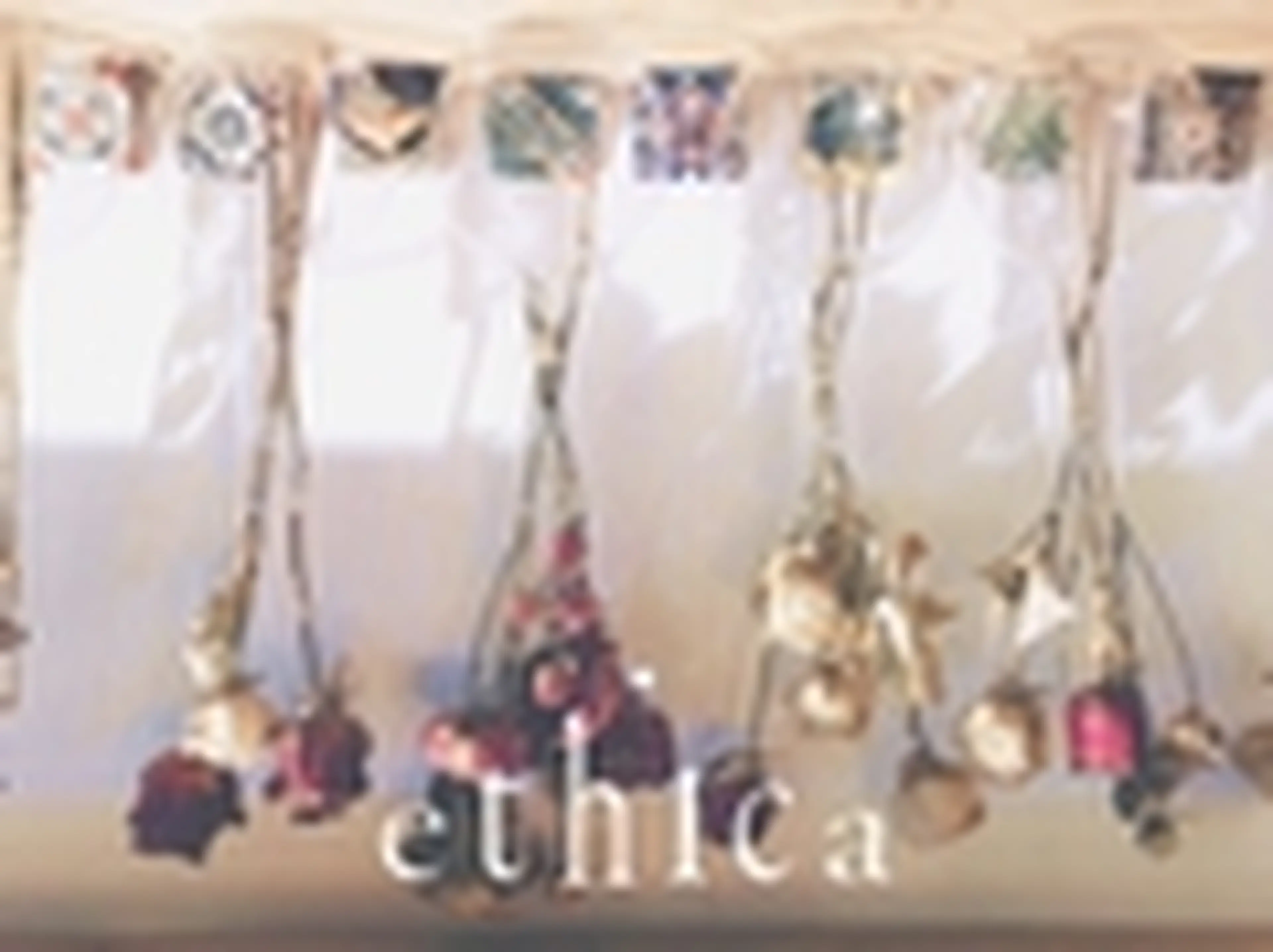 エシカの内観・外観3