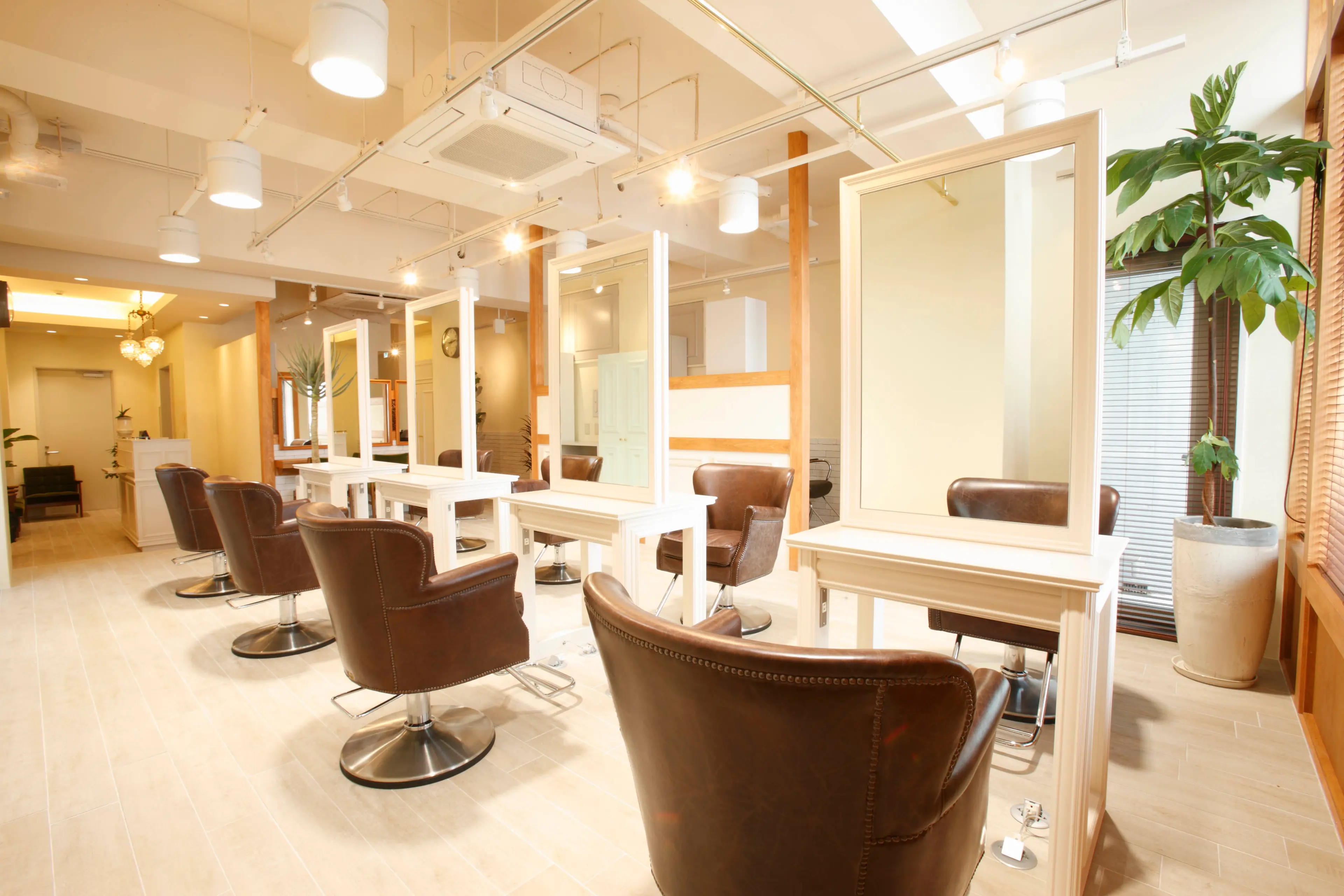 Neolive Linoa 北千住東口店の内観・外観1