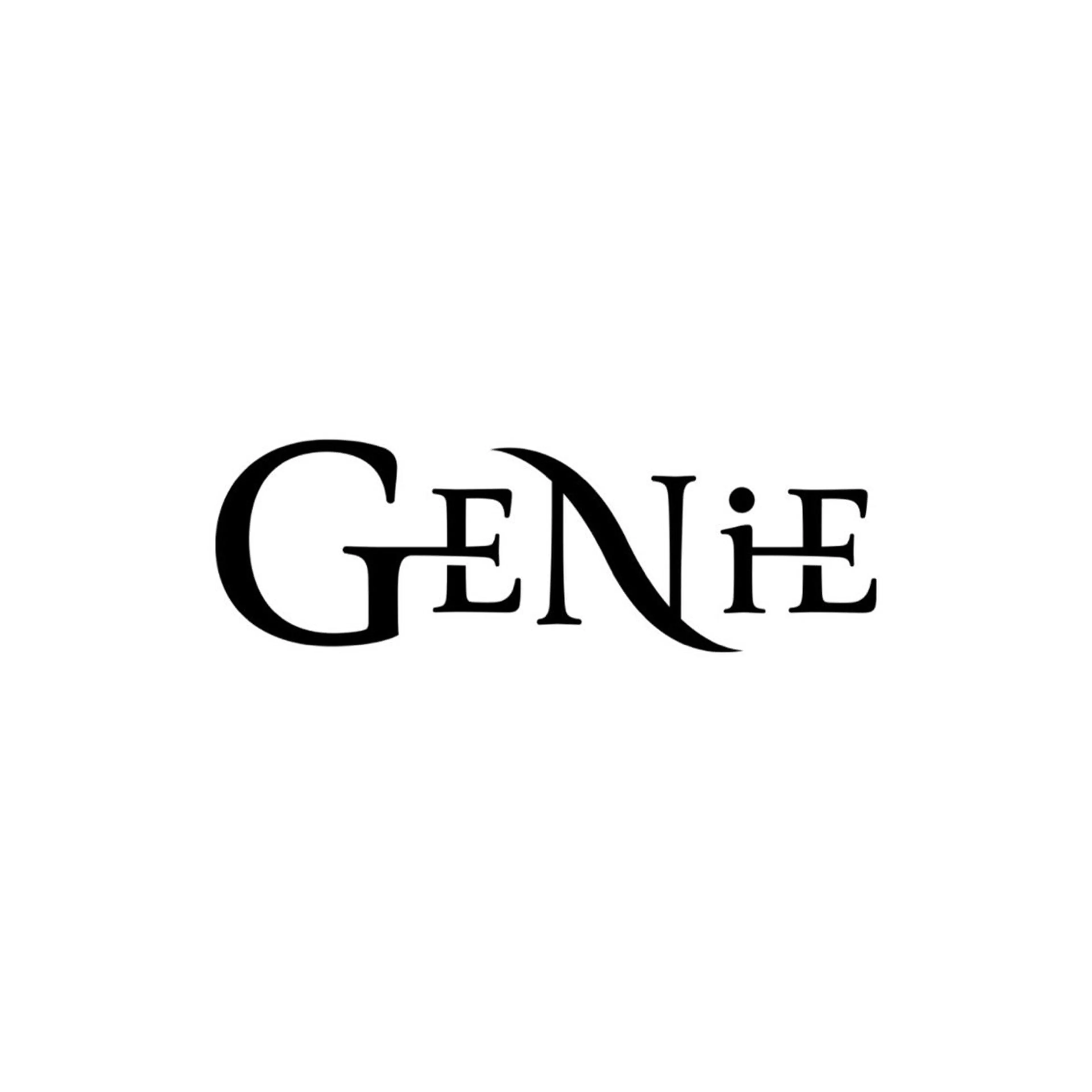 GENiEの内観・外観3