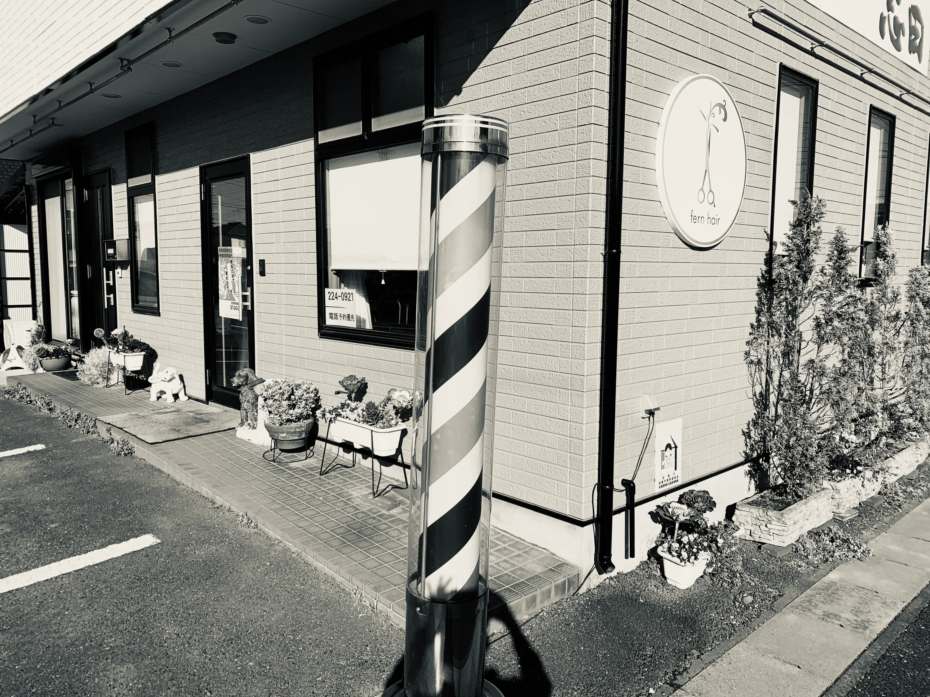 fern hairの内観・外観1