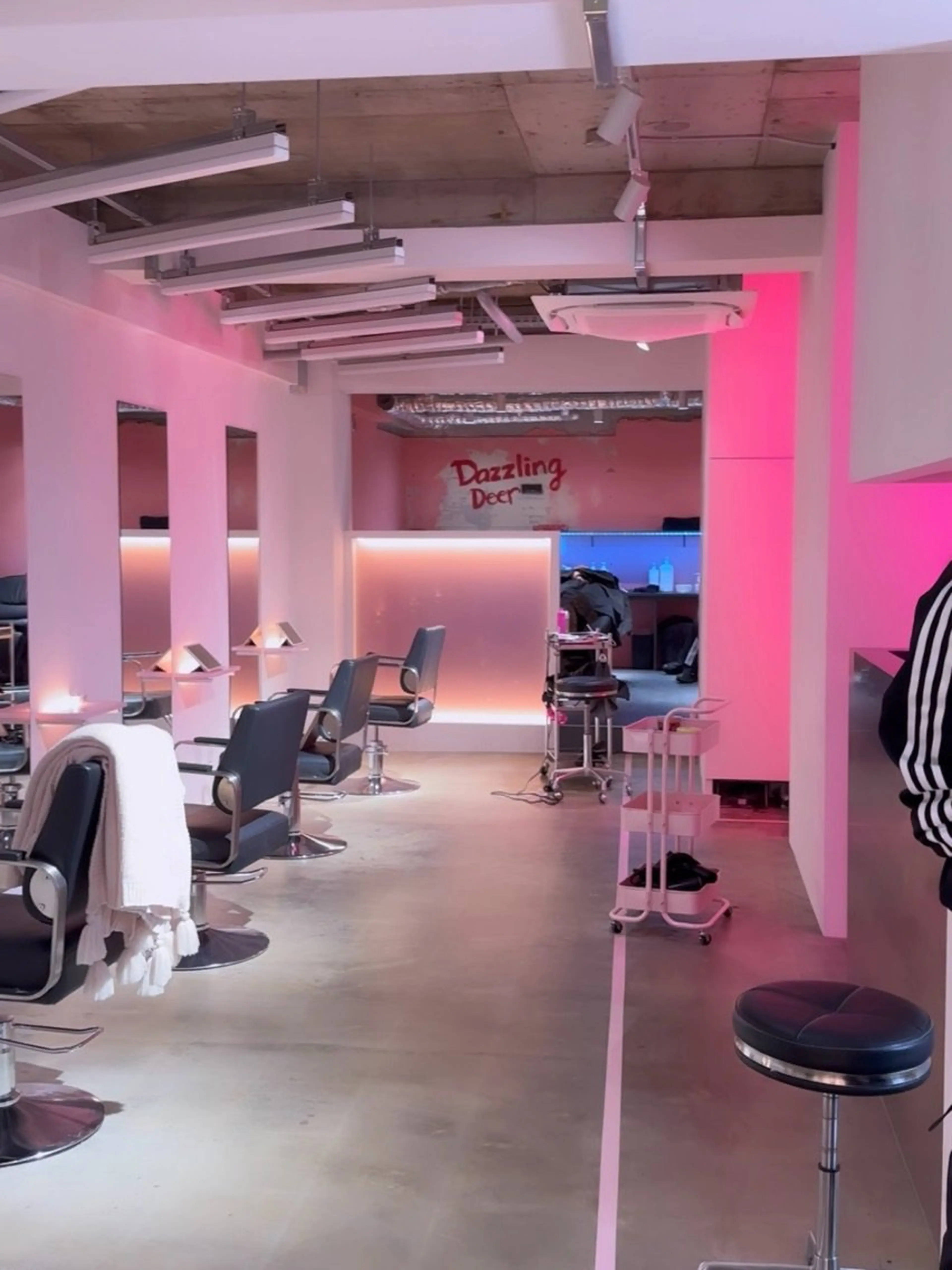Dazzling Deerの内観・外観1