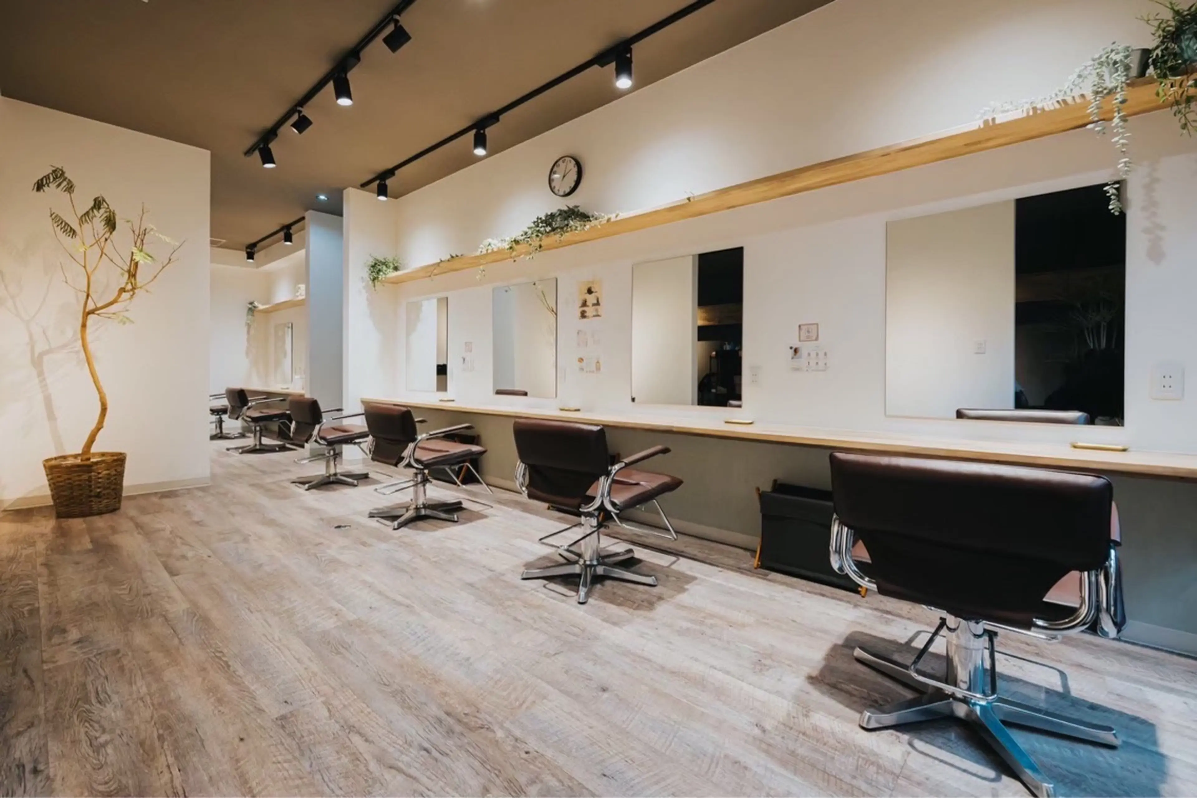 SOL by diarの内観・外観2