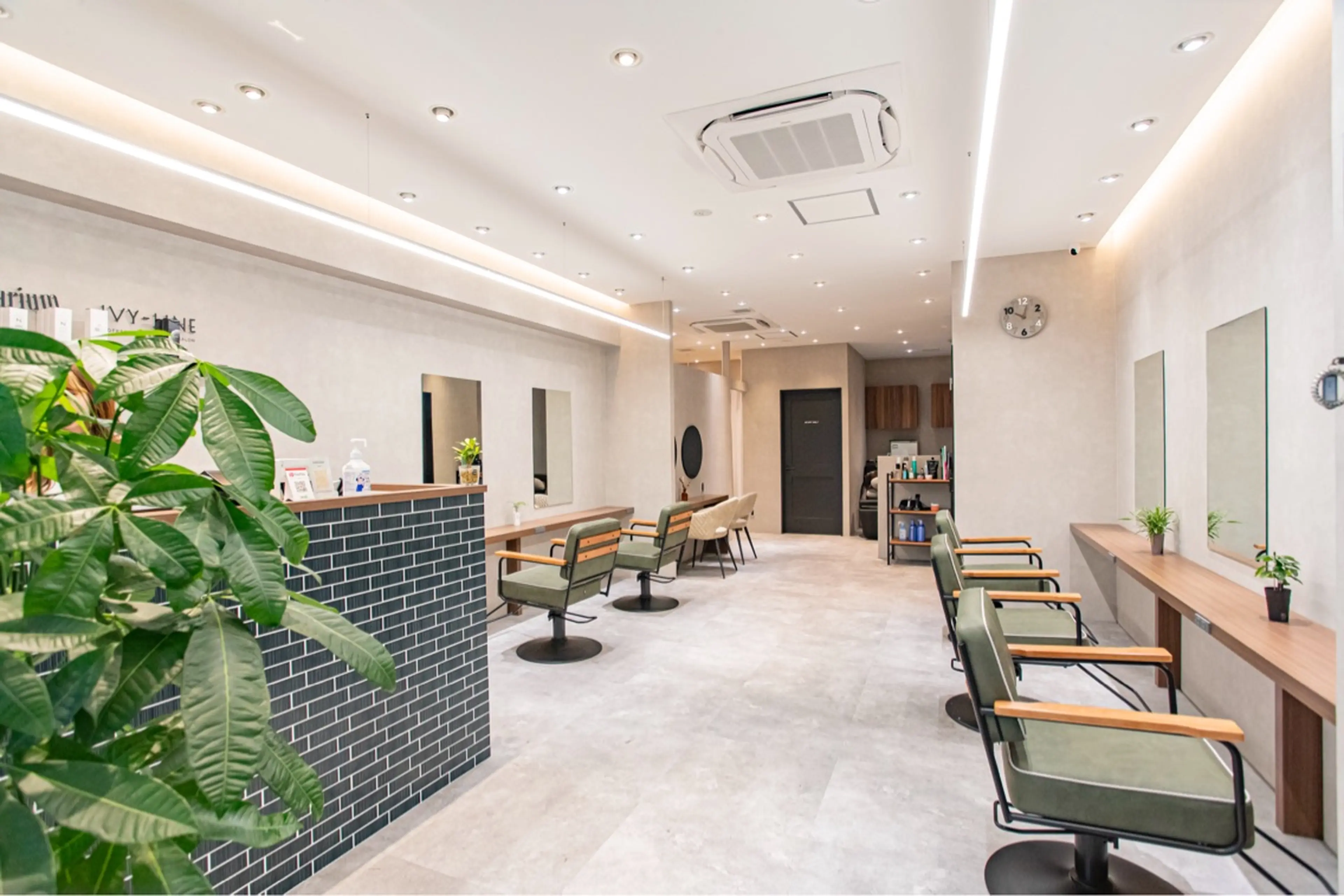 Anthuriumの内観・外観1