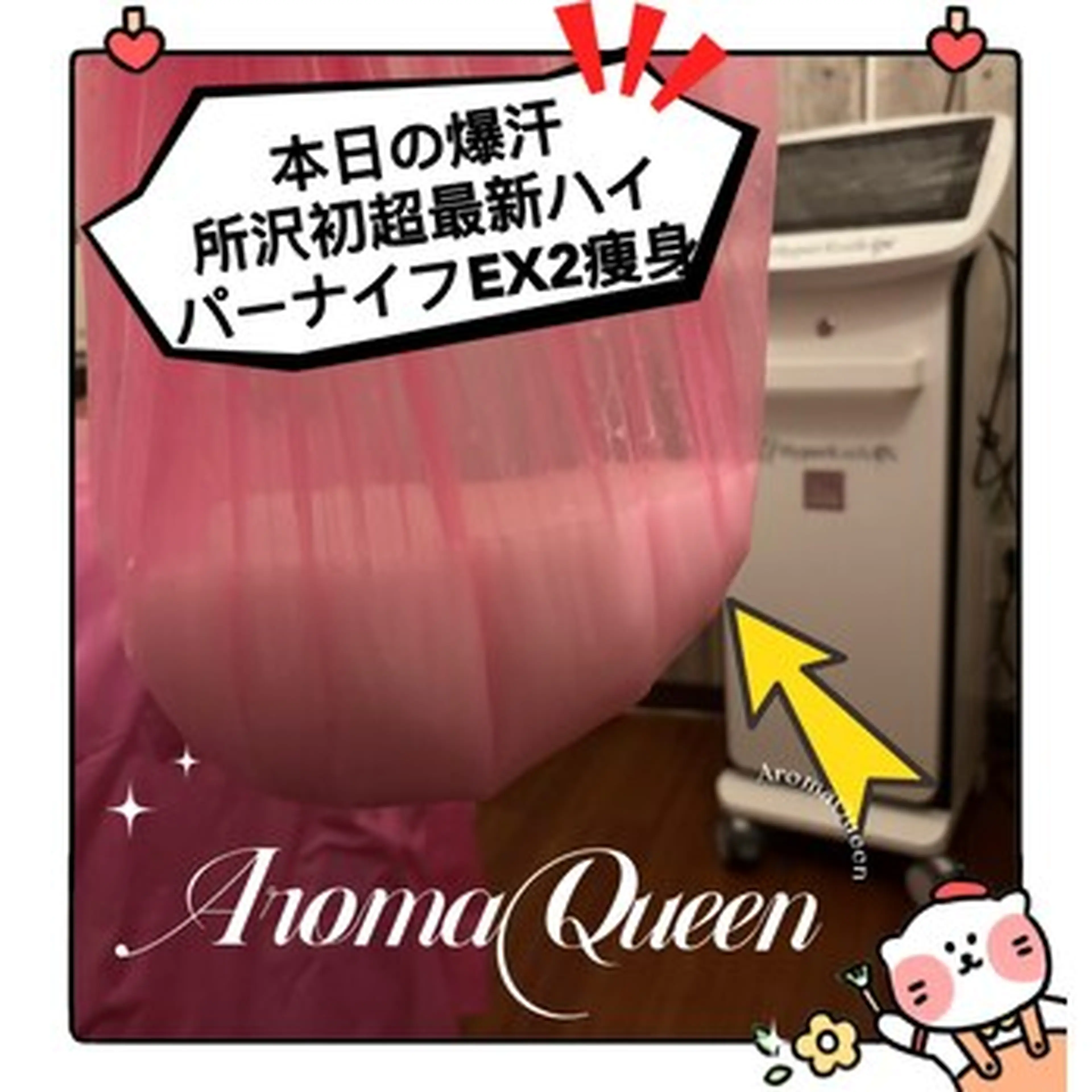 AromaQueen痩身癒し小顔矯正コルギの内観・外観3