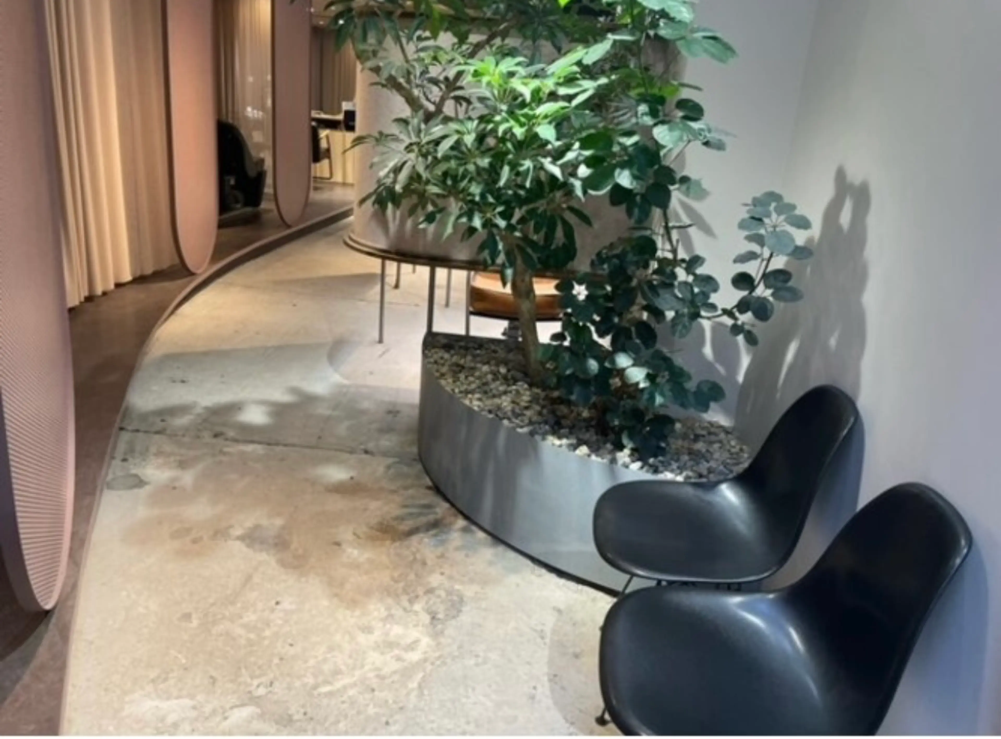 orchidの内観・外観3