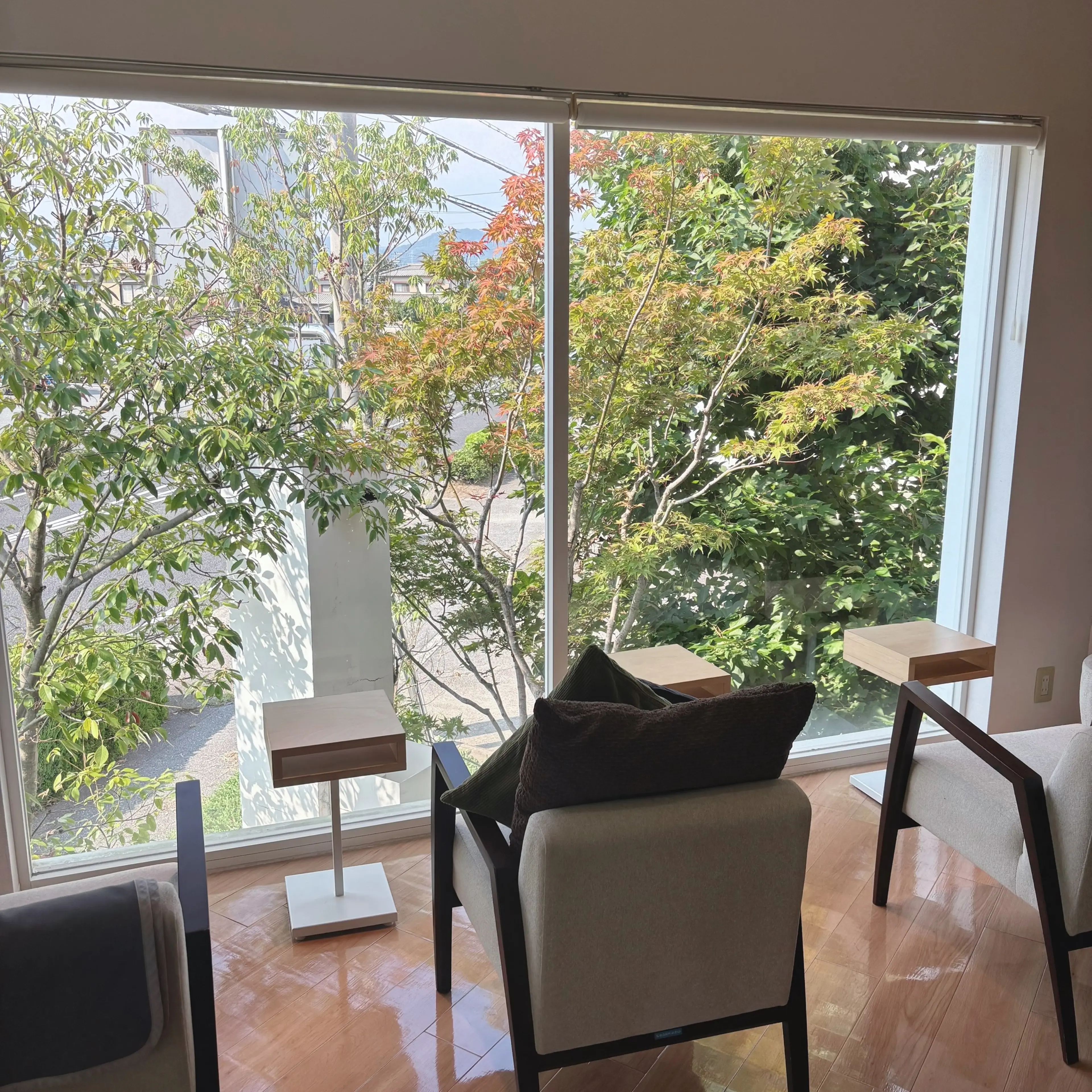 sakura beauty limbの内観・外観2