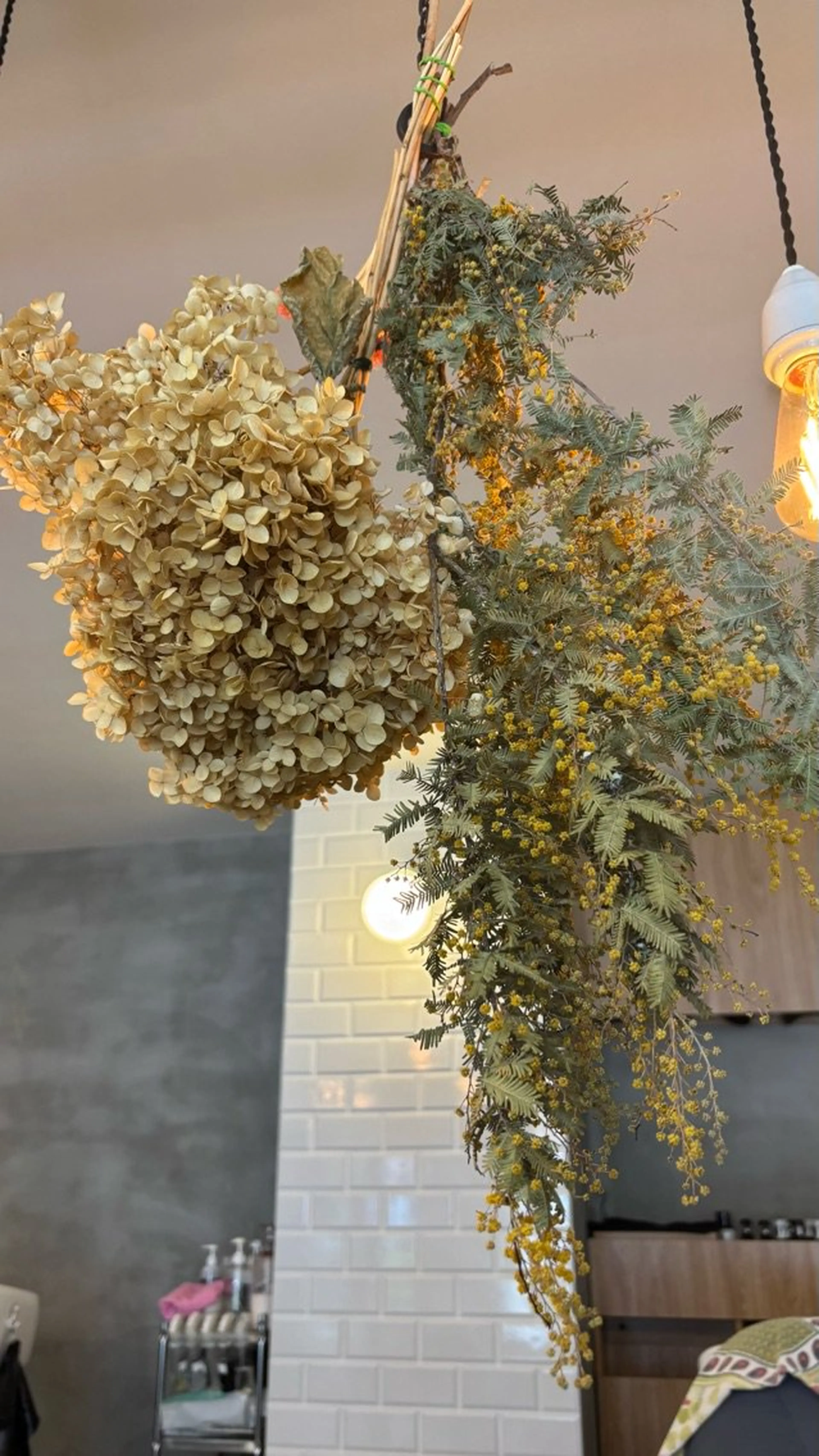 amfaireの内観・外観3