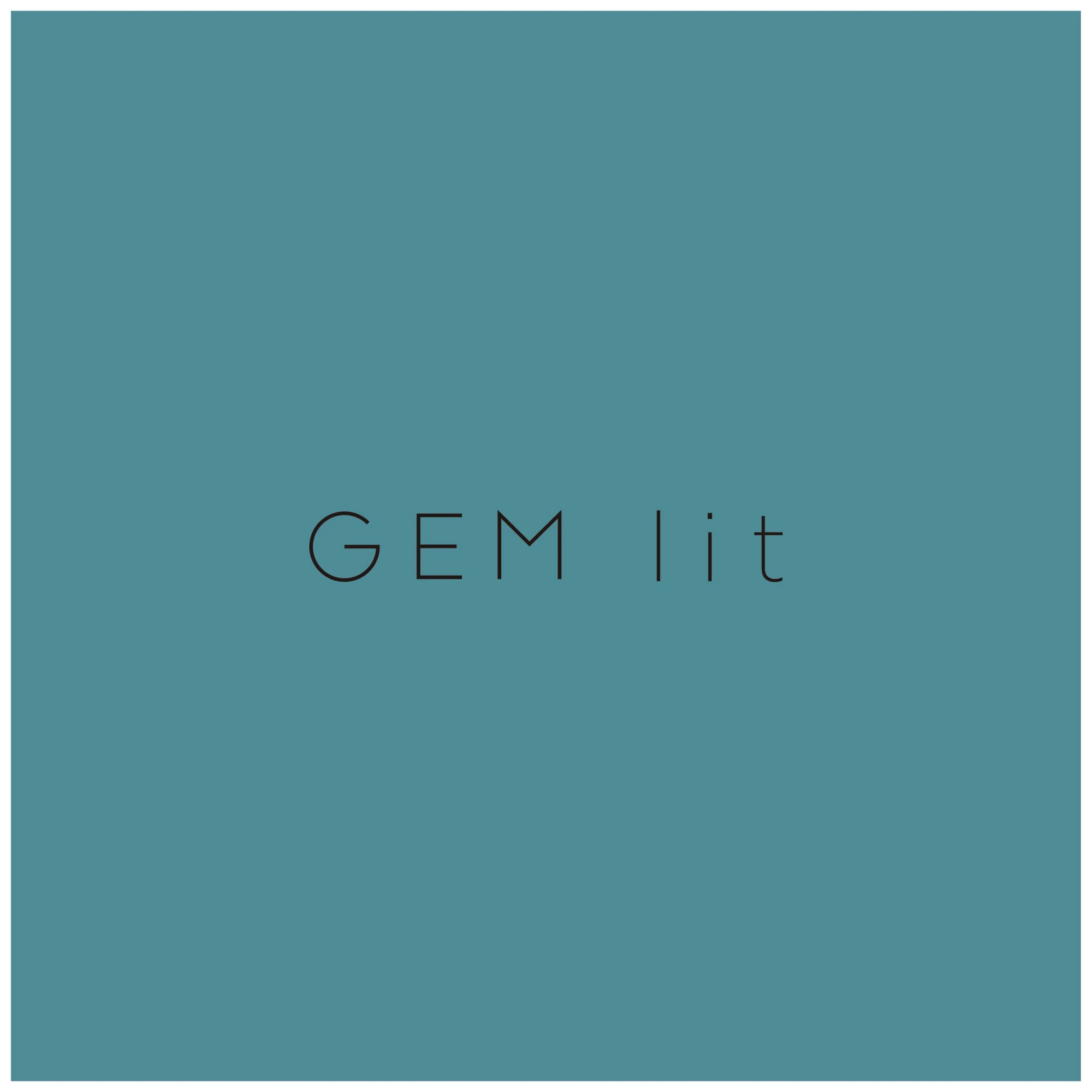 GEM litの内観・外観1