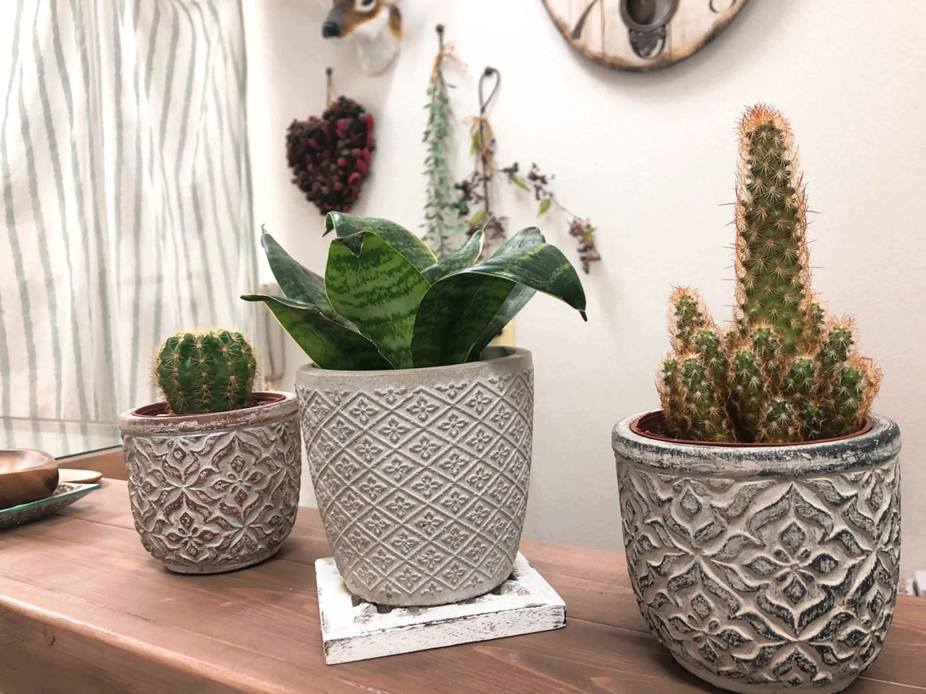 Dyna moon.の内観・外観2