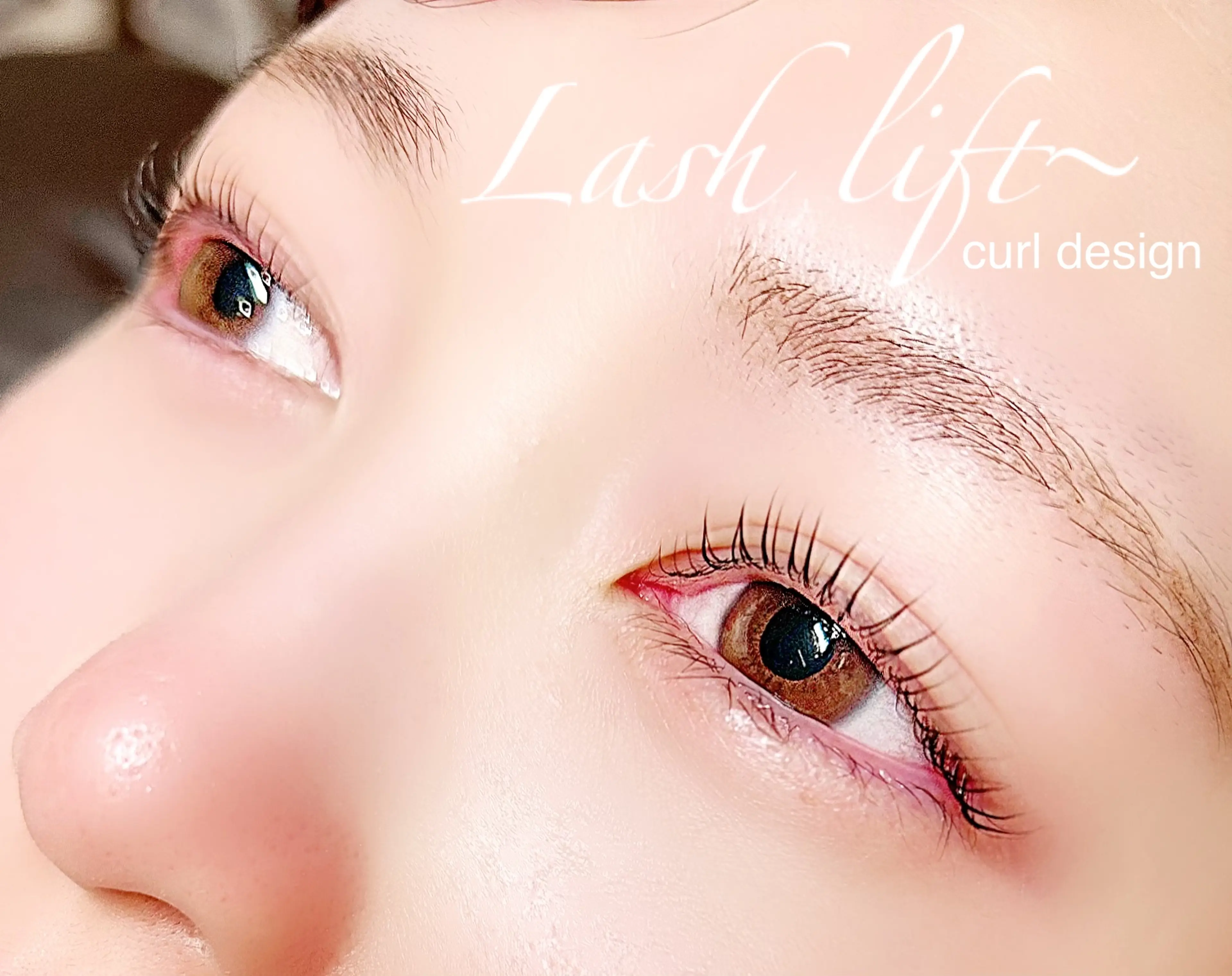 PROPOSTA eyelashの内観・外観3