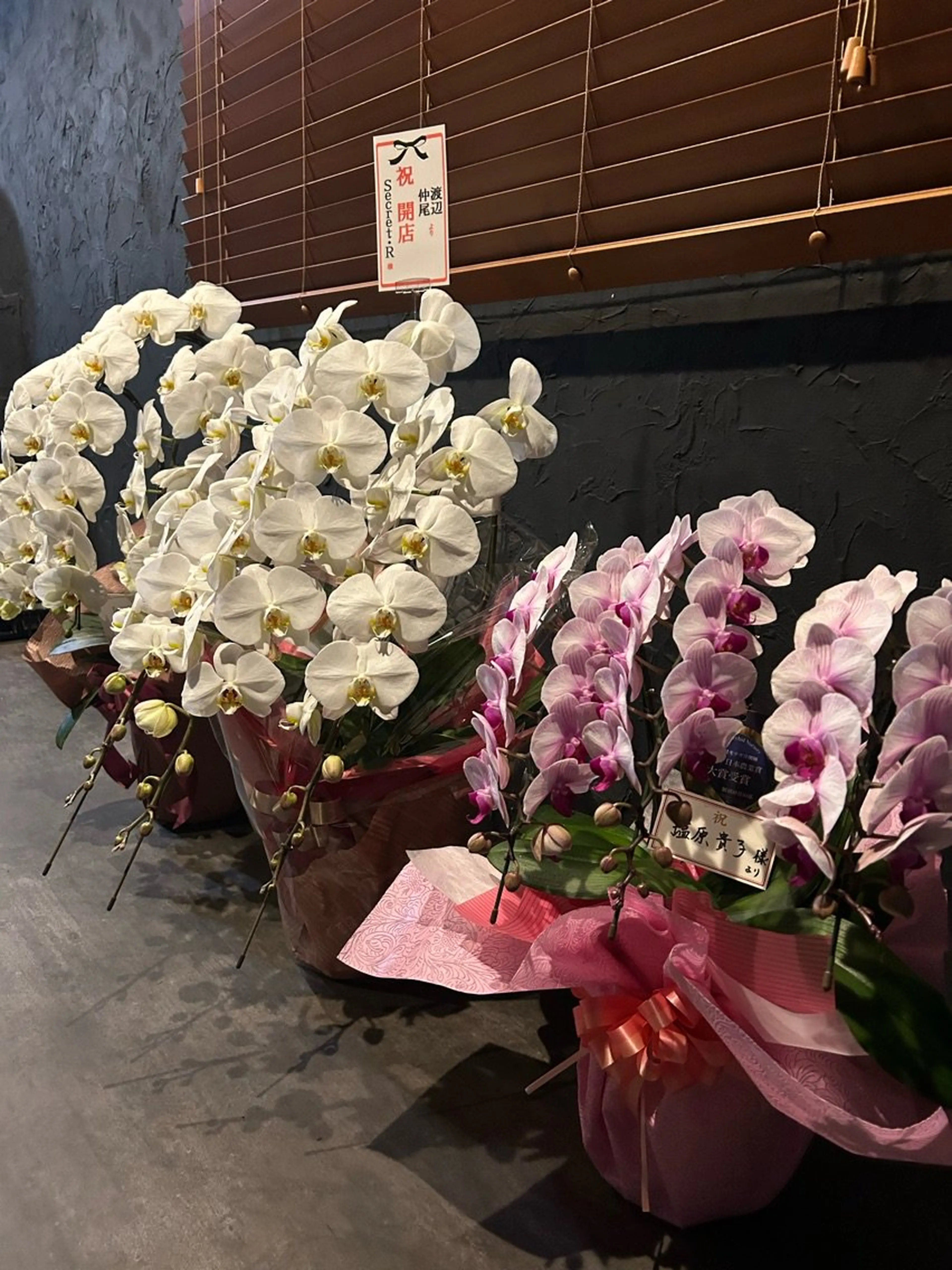 Secret.Rの内観・外観2