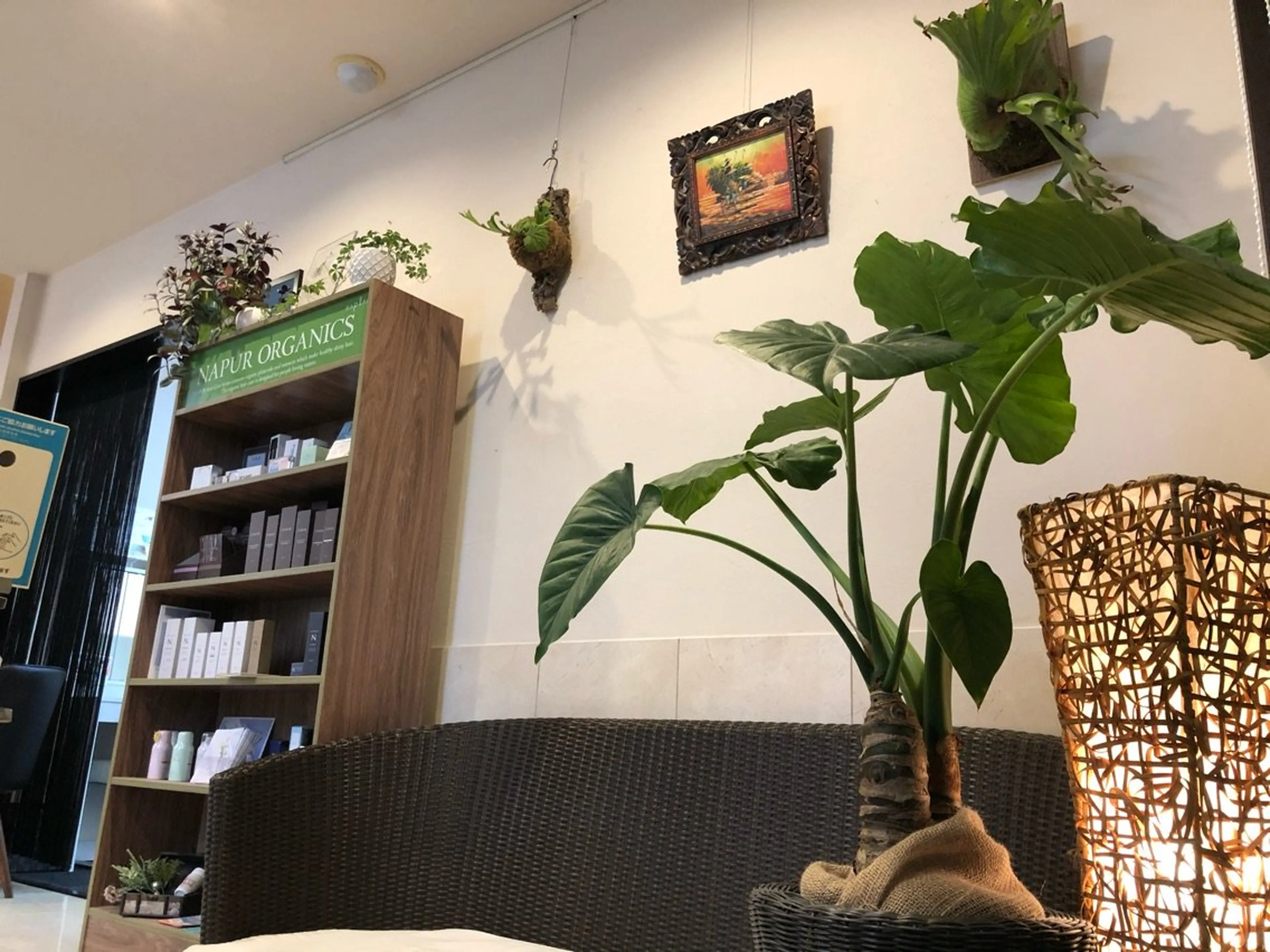 AMAN BEAUTY RESORTの内観・外観3