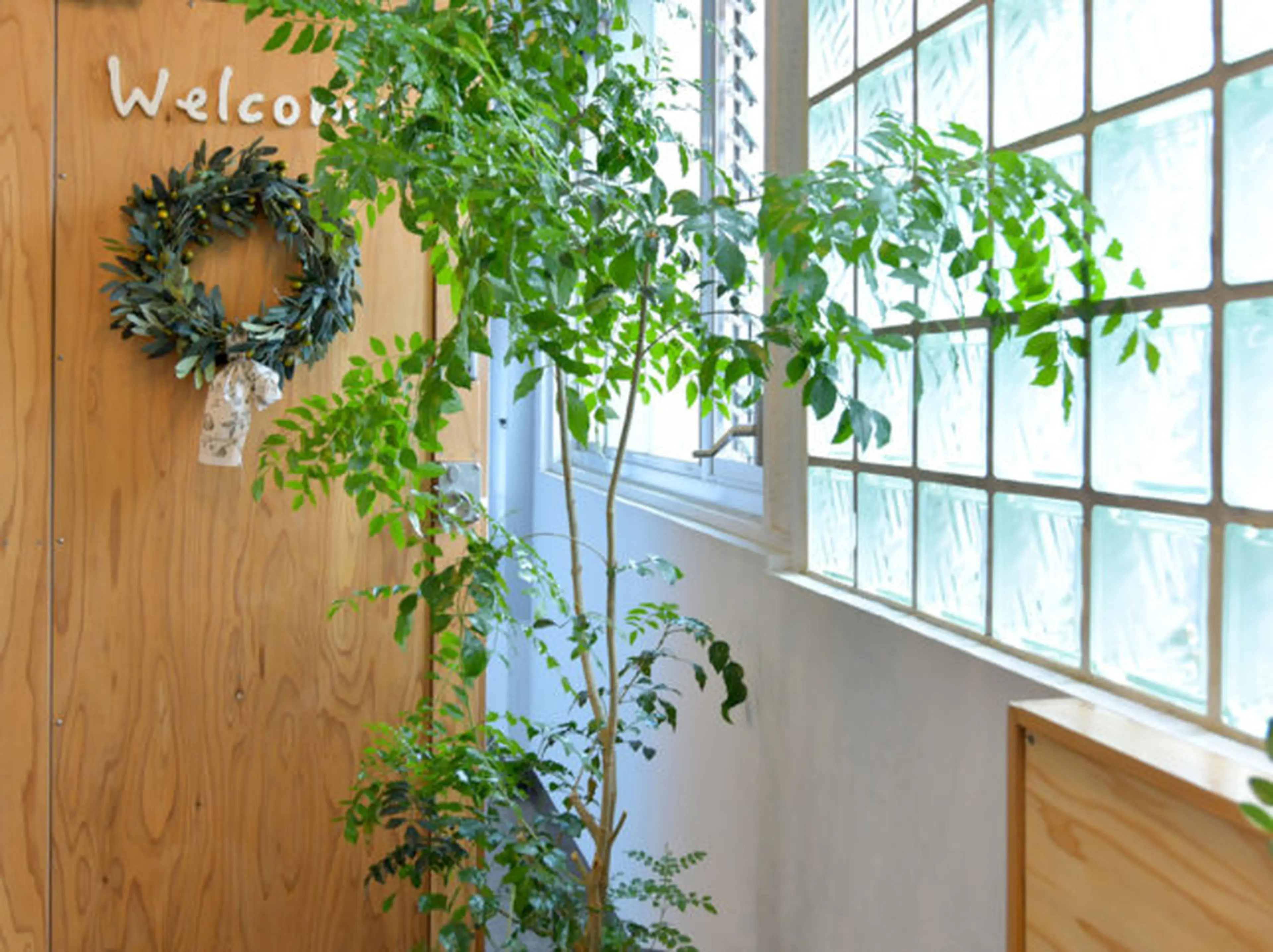 HairMS.の内観・外観2