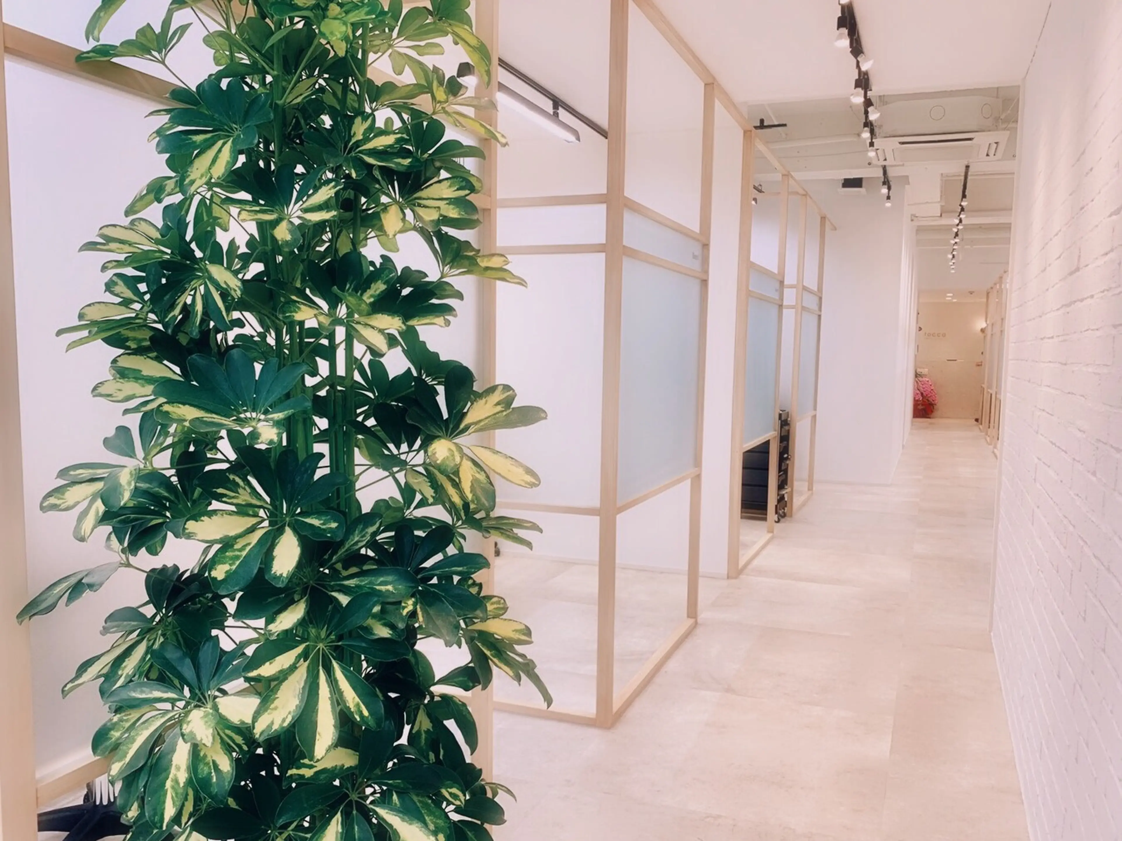 tocca hair&treatment 仙台店の内観・外観2