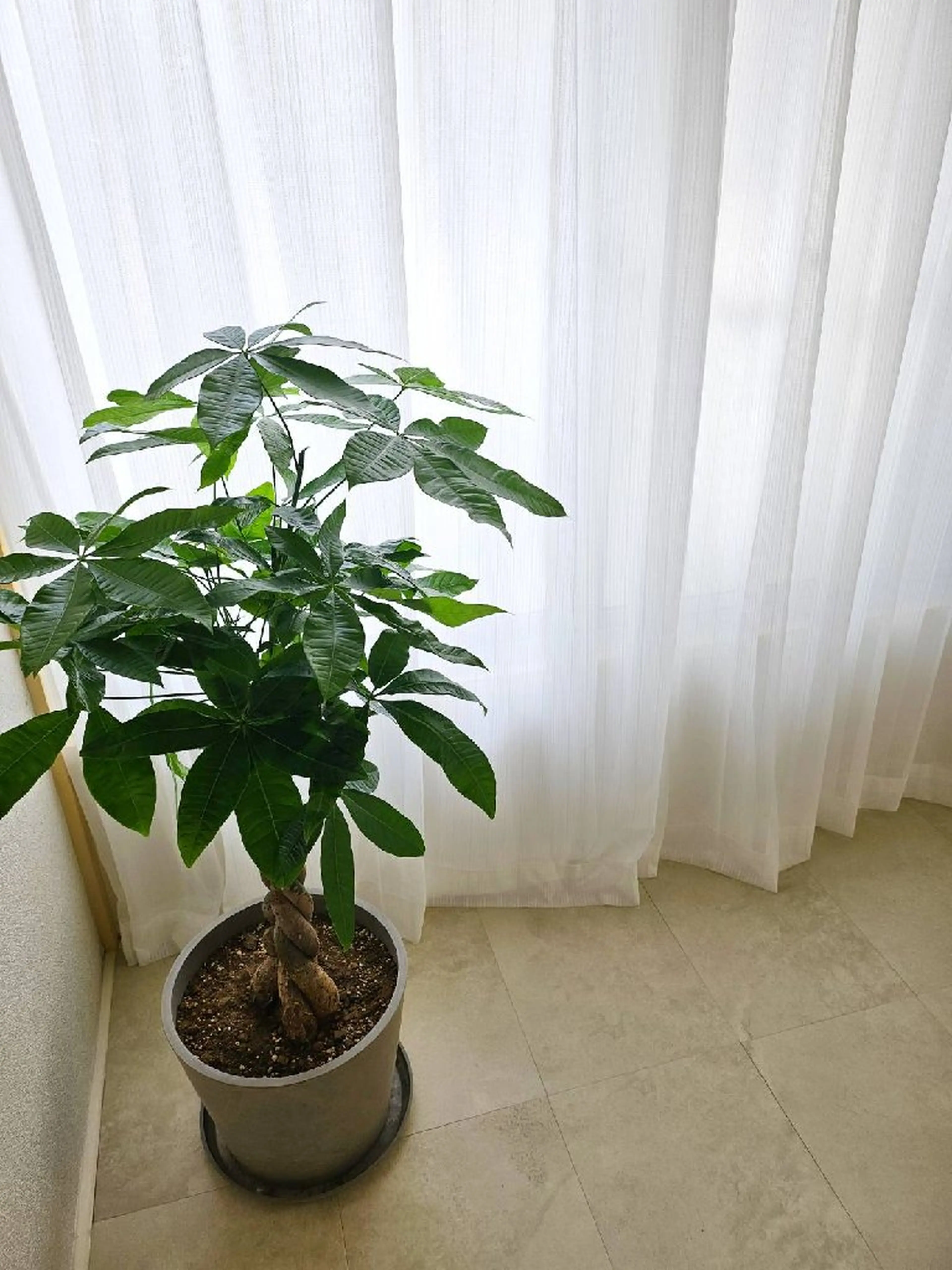 Cia U.の内観・外観1