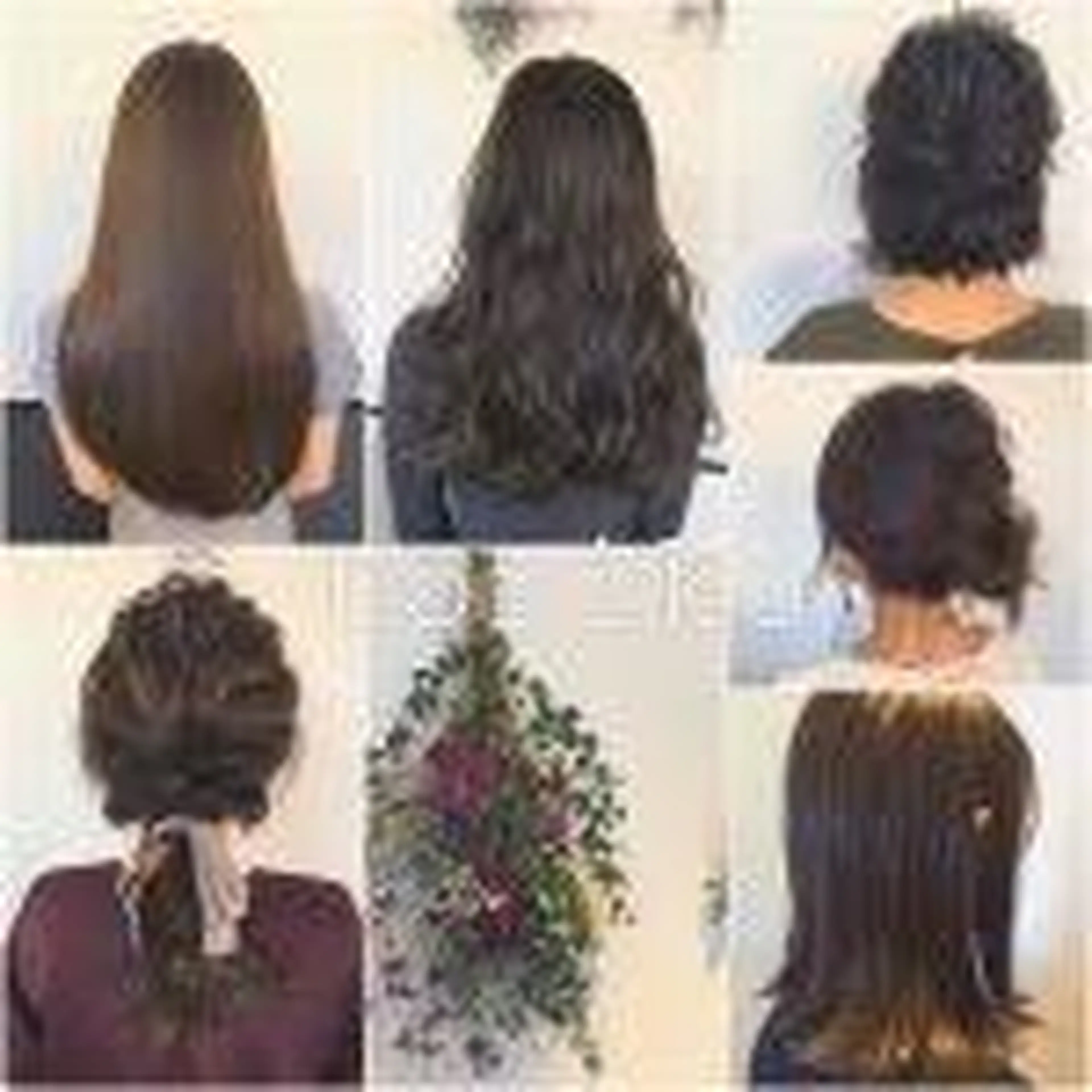 ビヨウシツトリコの内観・外観3