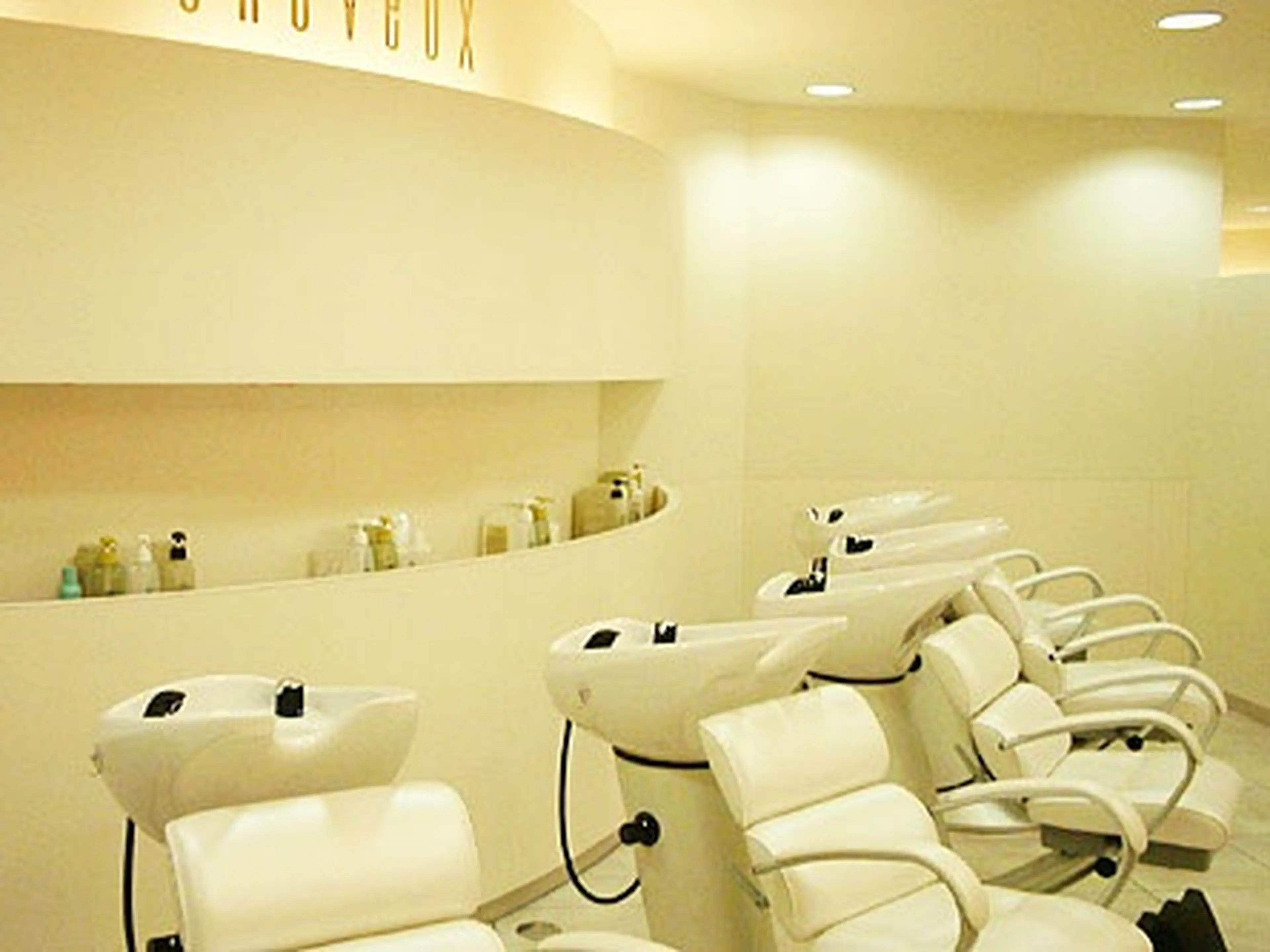 cheveux(シュヴー)西葛西の内観・外観3