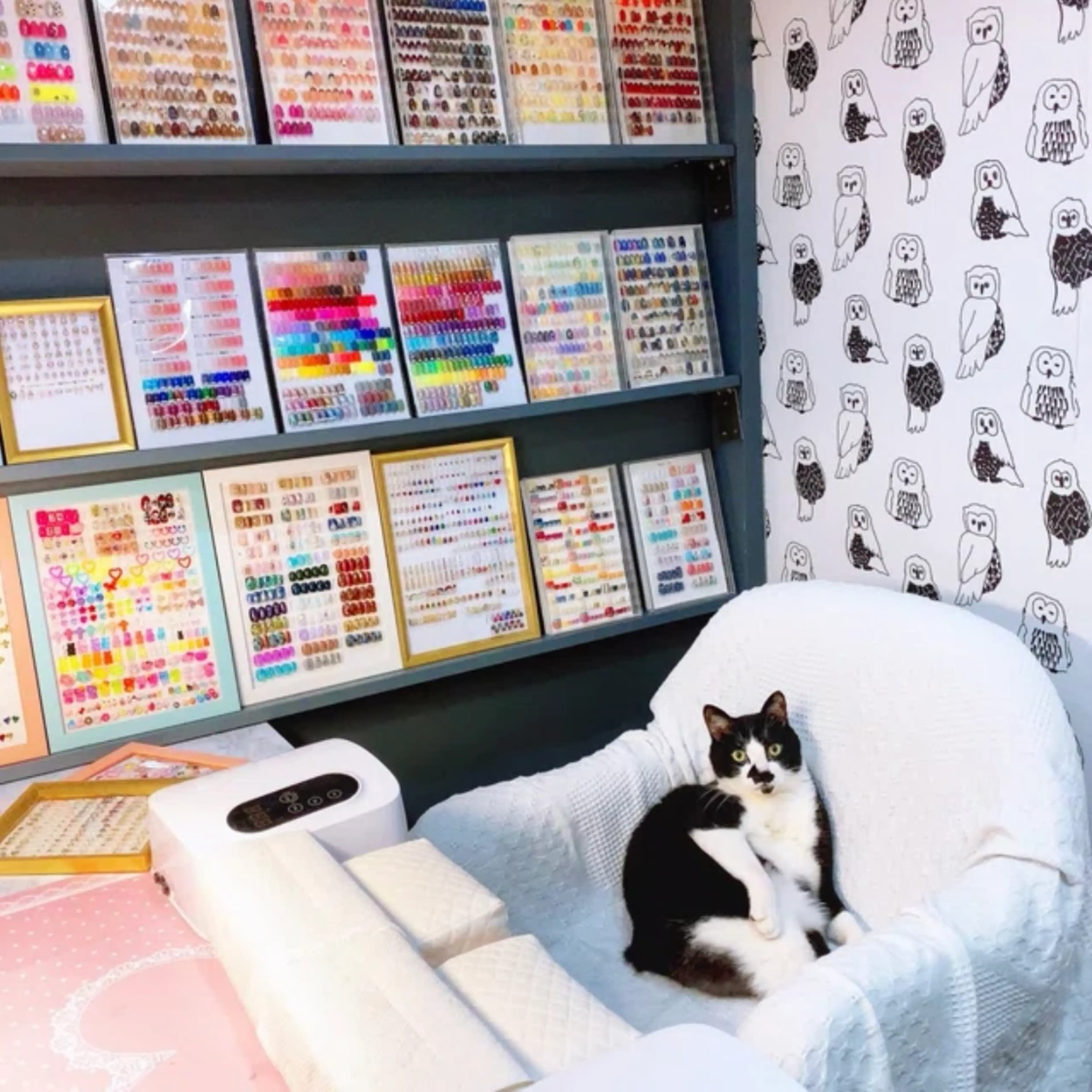 Beau're nailの内観・外観1