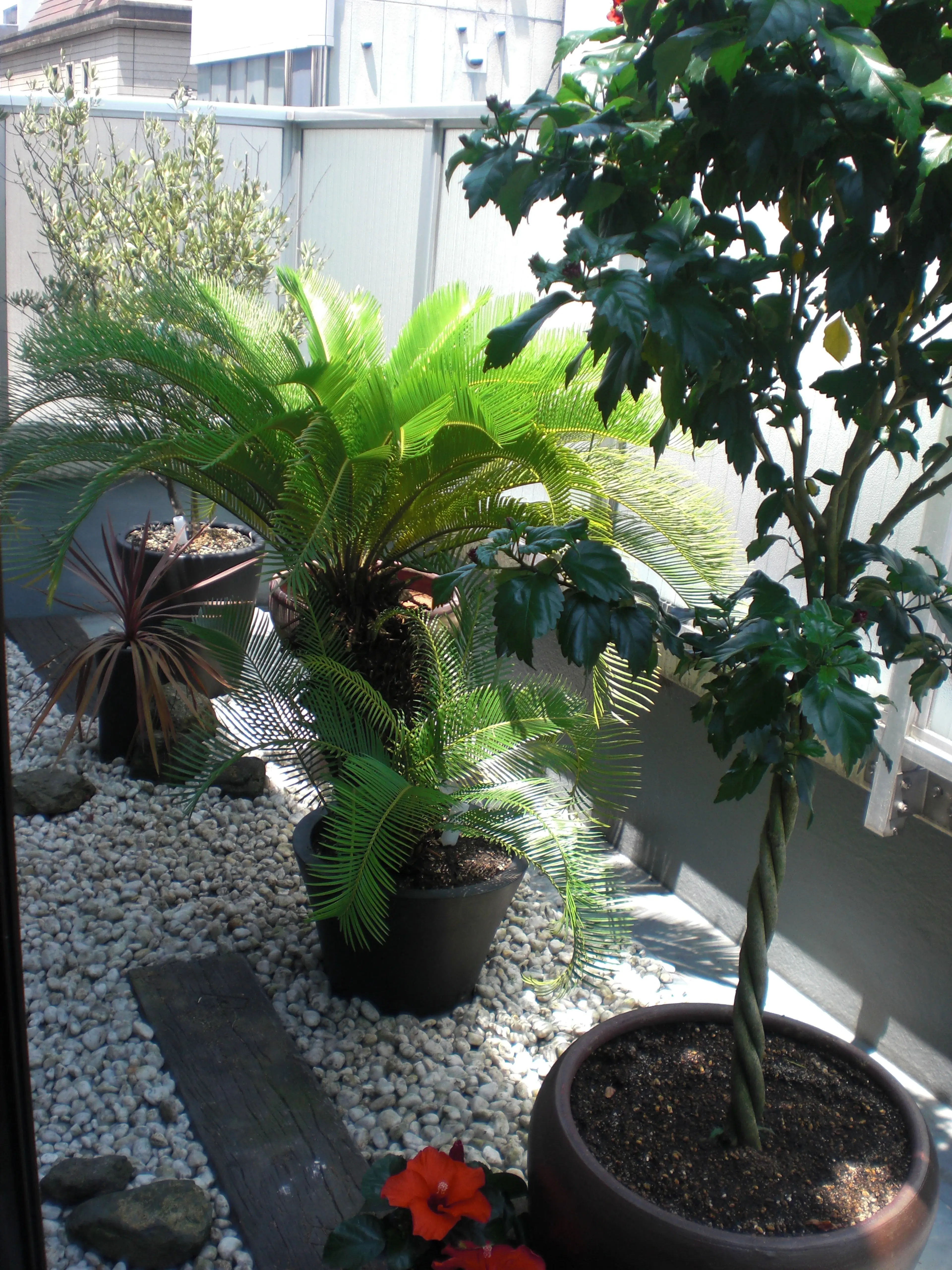 ROYAL・Therapistの内観・外観2