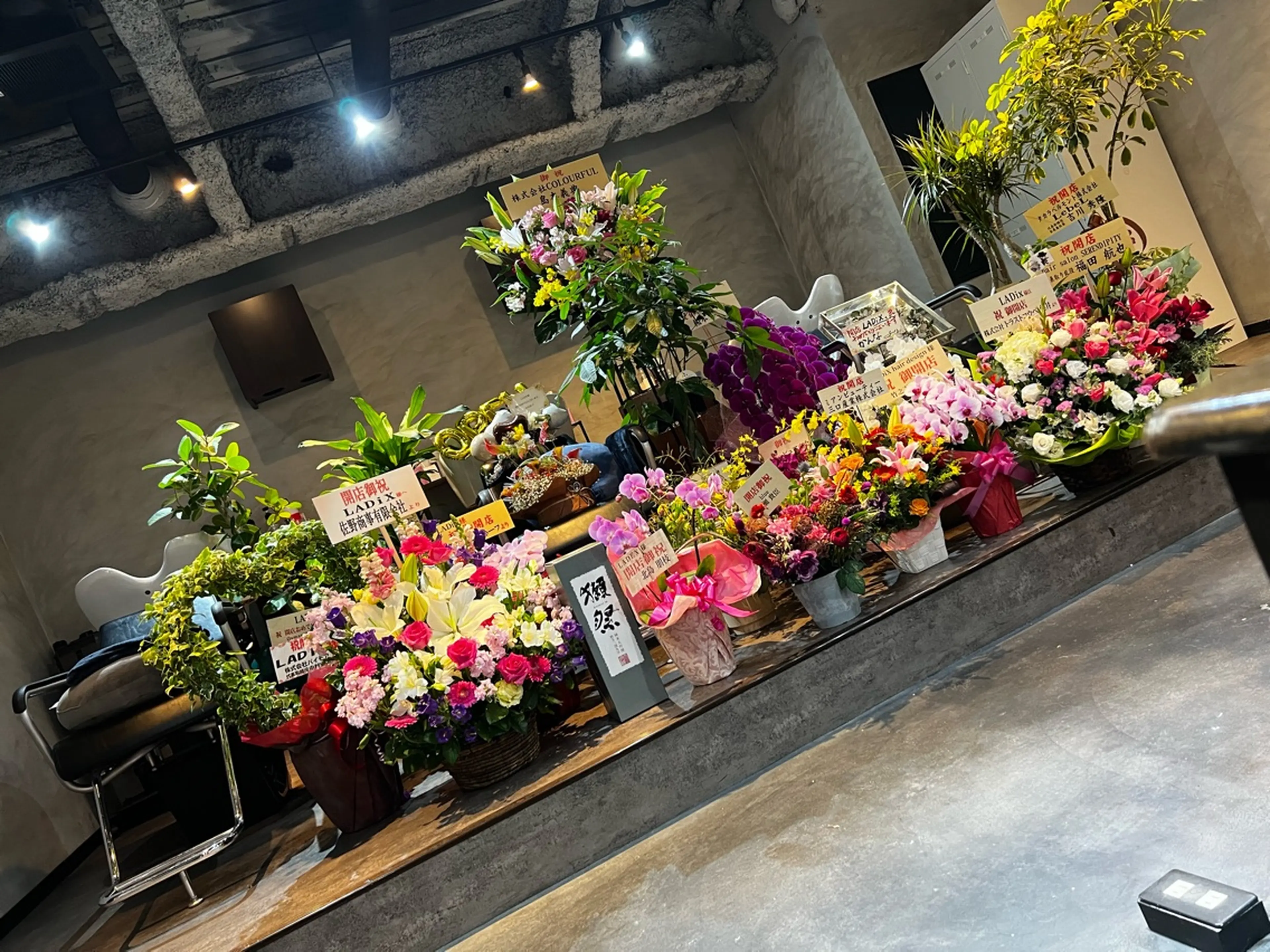 LADiXの内観・外観2