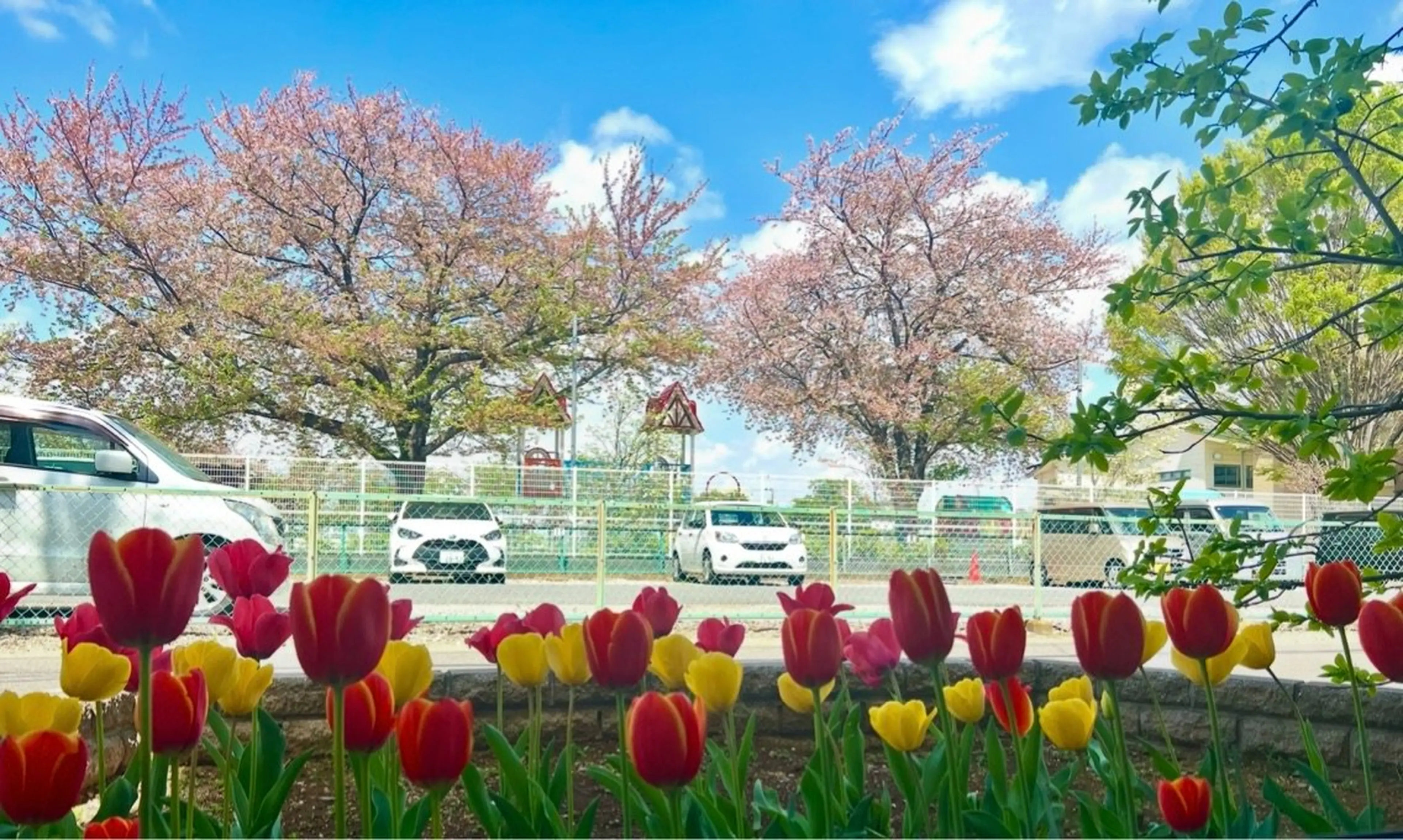 Himawarinailの内観・外観2