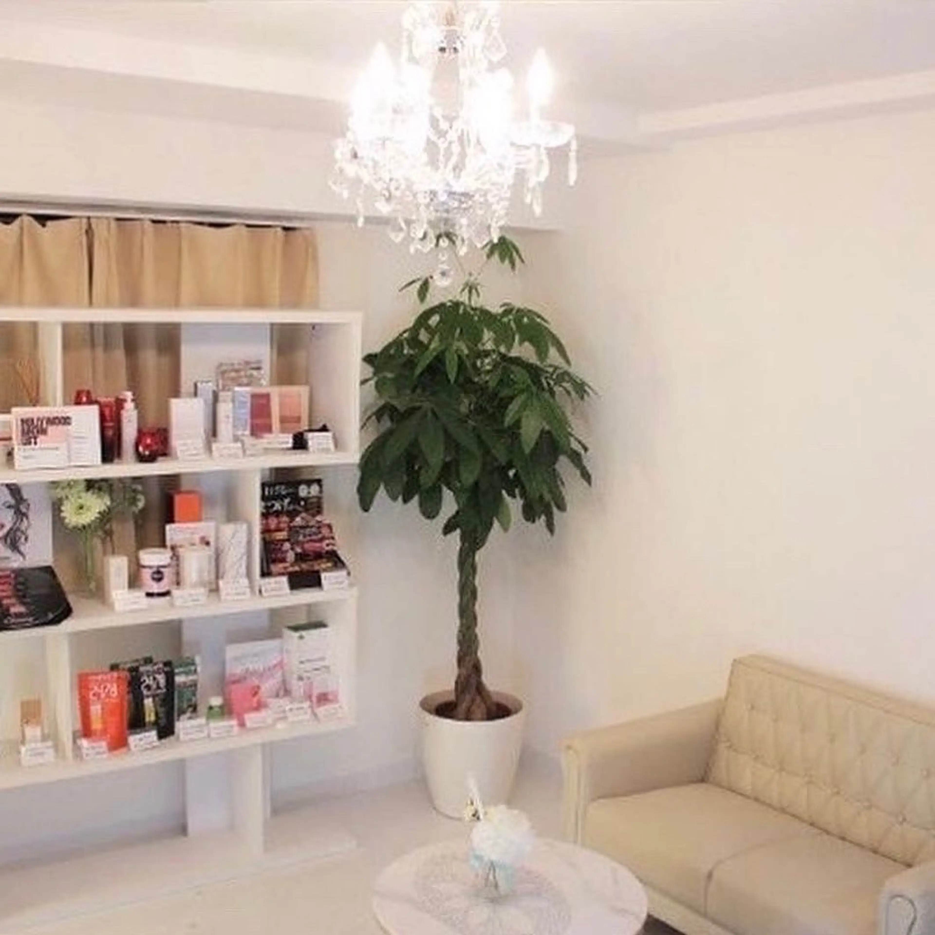 beauty granzの内観・外観1